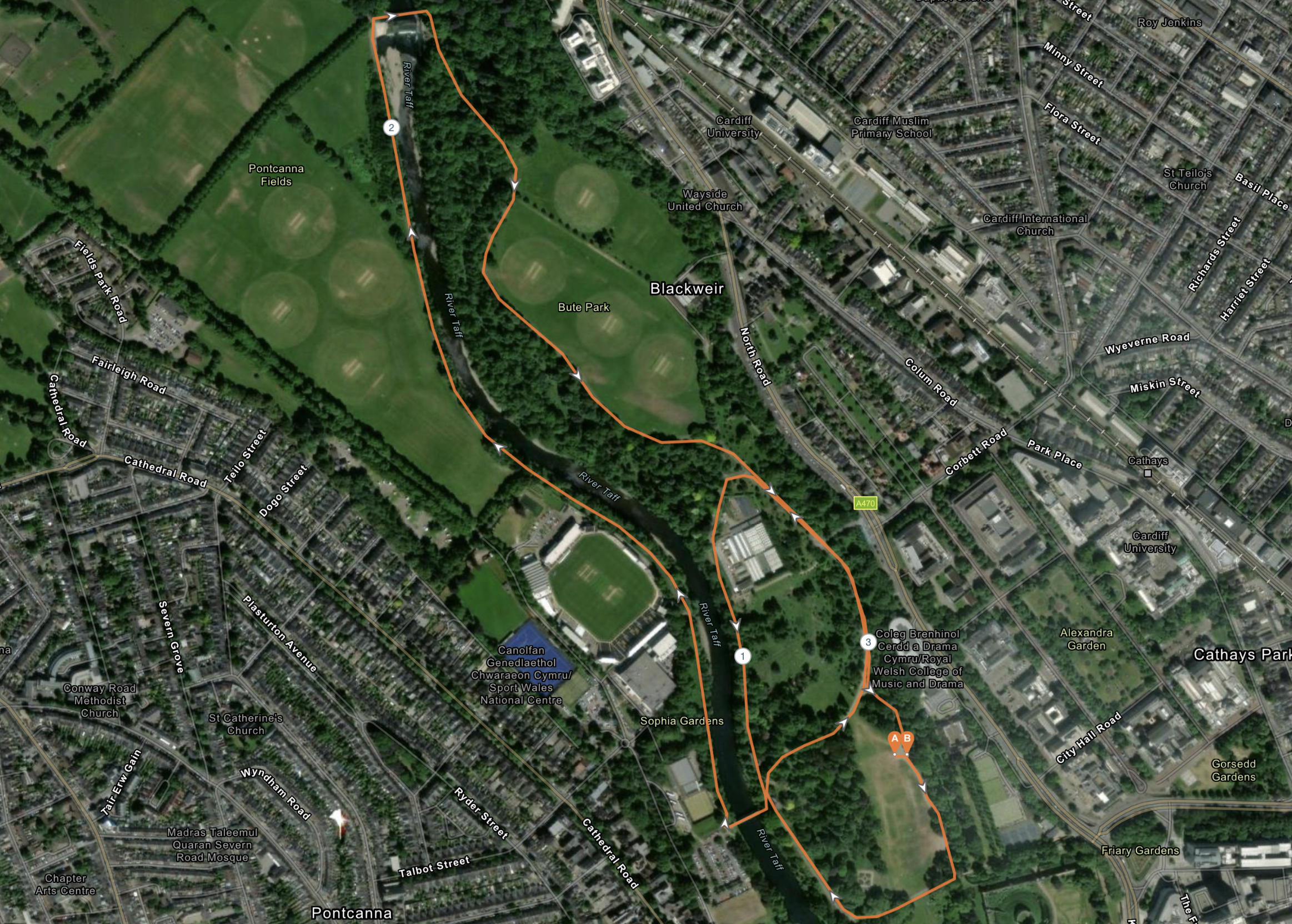 Run Bute Park Cardiff St Davids Day Run