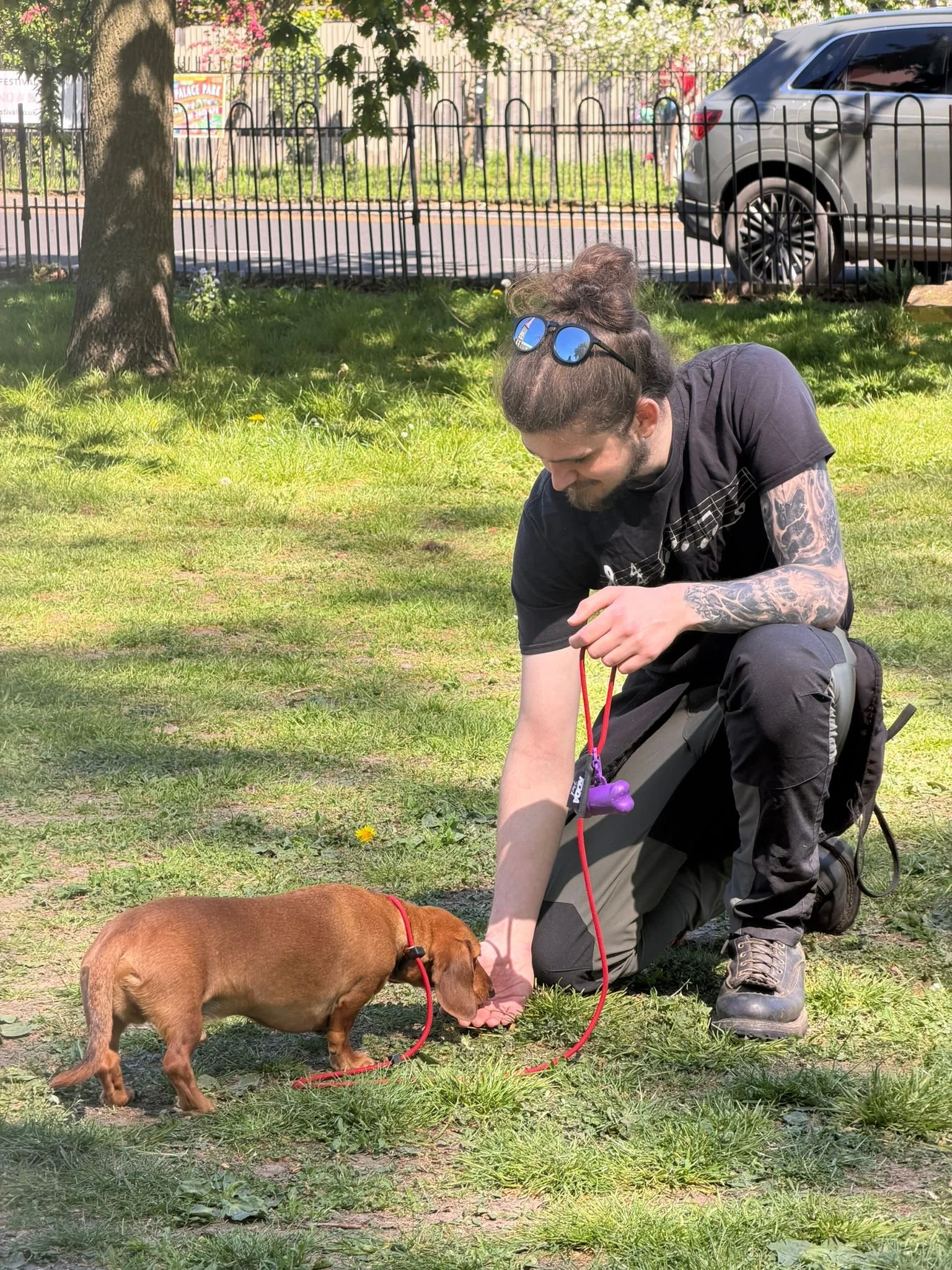 A man with a bun hairstyle, beard, and tattoos on his arms is kneeling on green grass, reaching out to pet a brown dog. The man is wearing a black t-shirt and gray pants, with sunglasses resting on his head. The dog is wearing a red collar and is sniffing the grass. There is a black fence, trees, and a parked car in the background, indicating an outdoor setting on a sunny day.