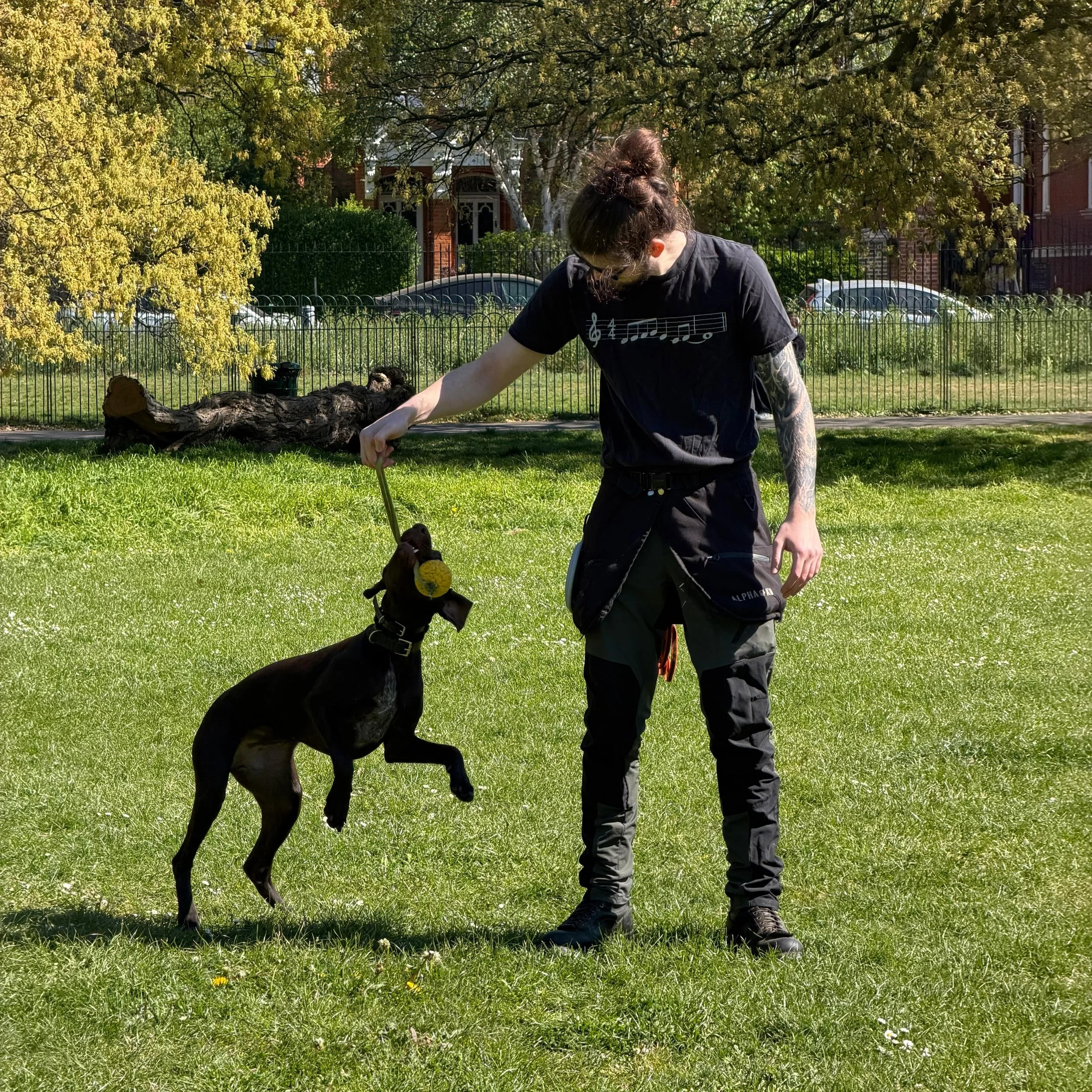 Teach and Train (90mins)