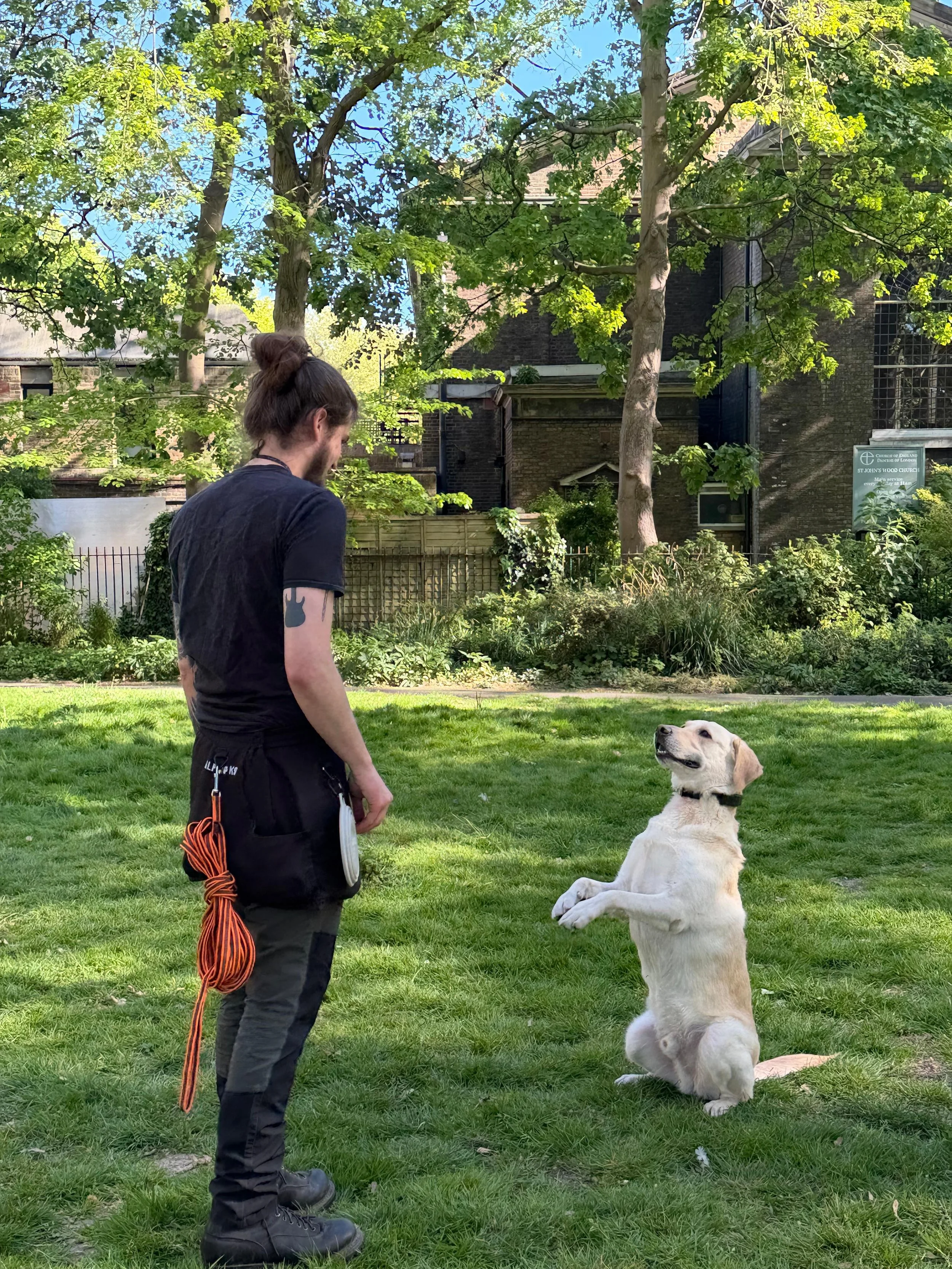 A man with long brown hair tied back, wearing a black t-shirt and black pants, as well as black boots, stands in a grassy park with a leash hanging from his pocket, looking at a large yellow Labrador Retriever sitting on the grass. The dog is sitting upright with its front paws on the ground, facing the man. The park has trees with green leaves and a brick building in the background.