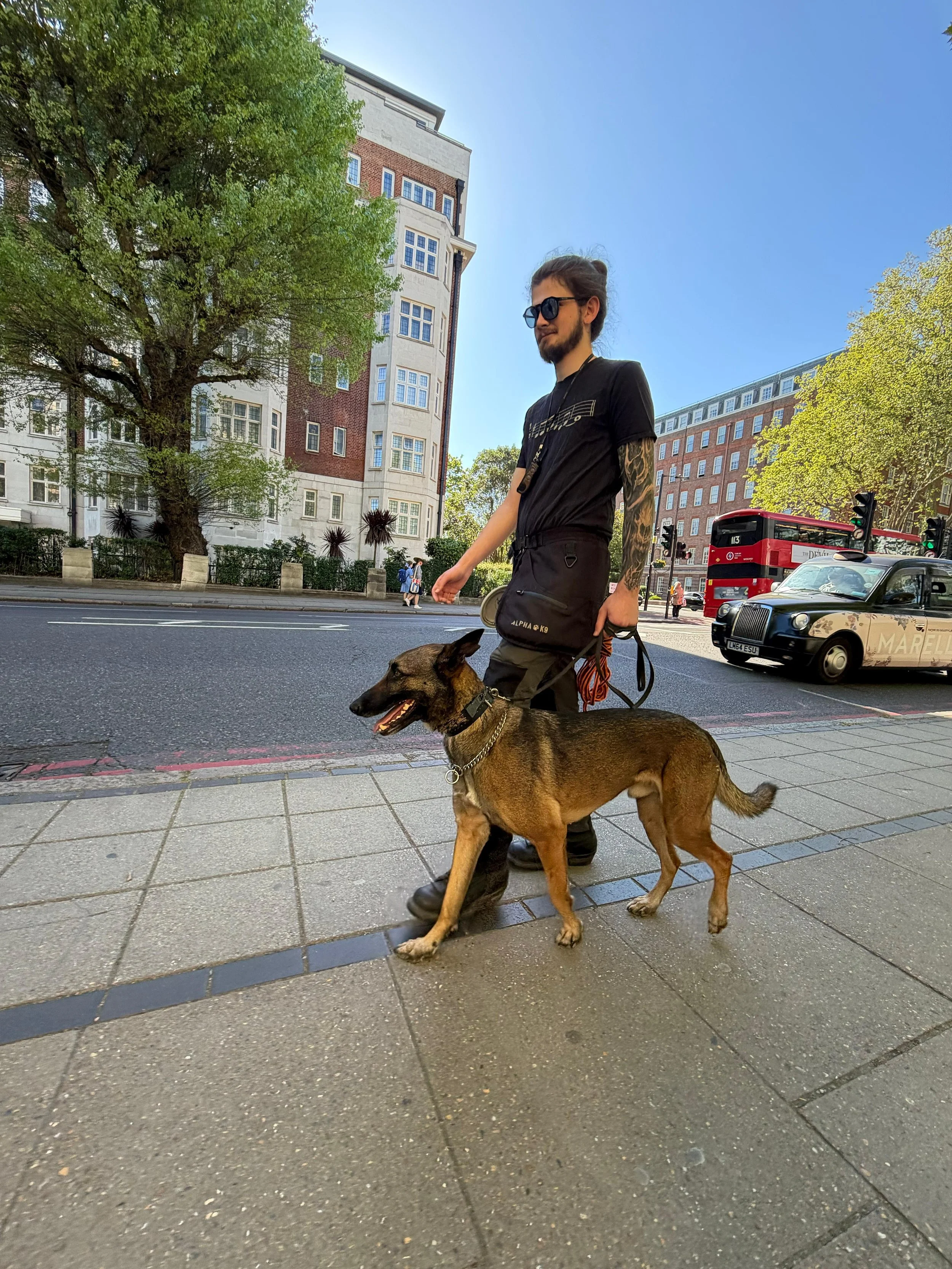 A man with long hair tied in a bun, wearing sunglasses, a black T-shirt, and black pants, is walking a brown dog with a black face on a city sidewalk. There are trees, colorful buildings, and a red double-decker bus in the background. The sky is clear and blue.