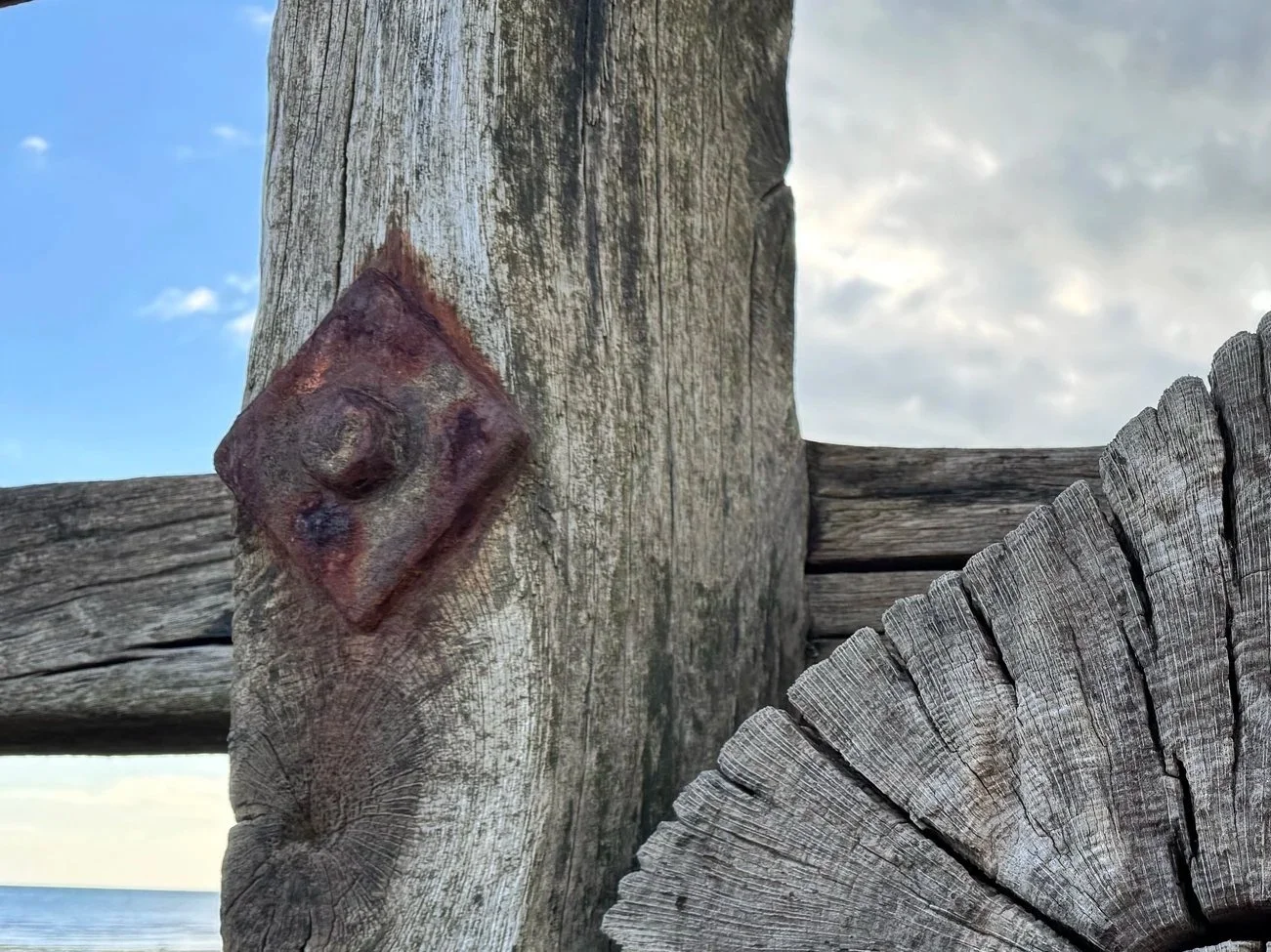 Safe, solid and focused session represented by weathered wood on the beach with iron bolts