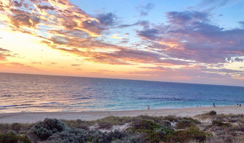 Perth sunset over the ocean with a colorful sky, sandy beach, and some people walking along the shoreline, with green bushes in the foreground.