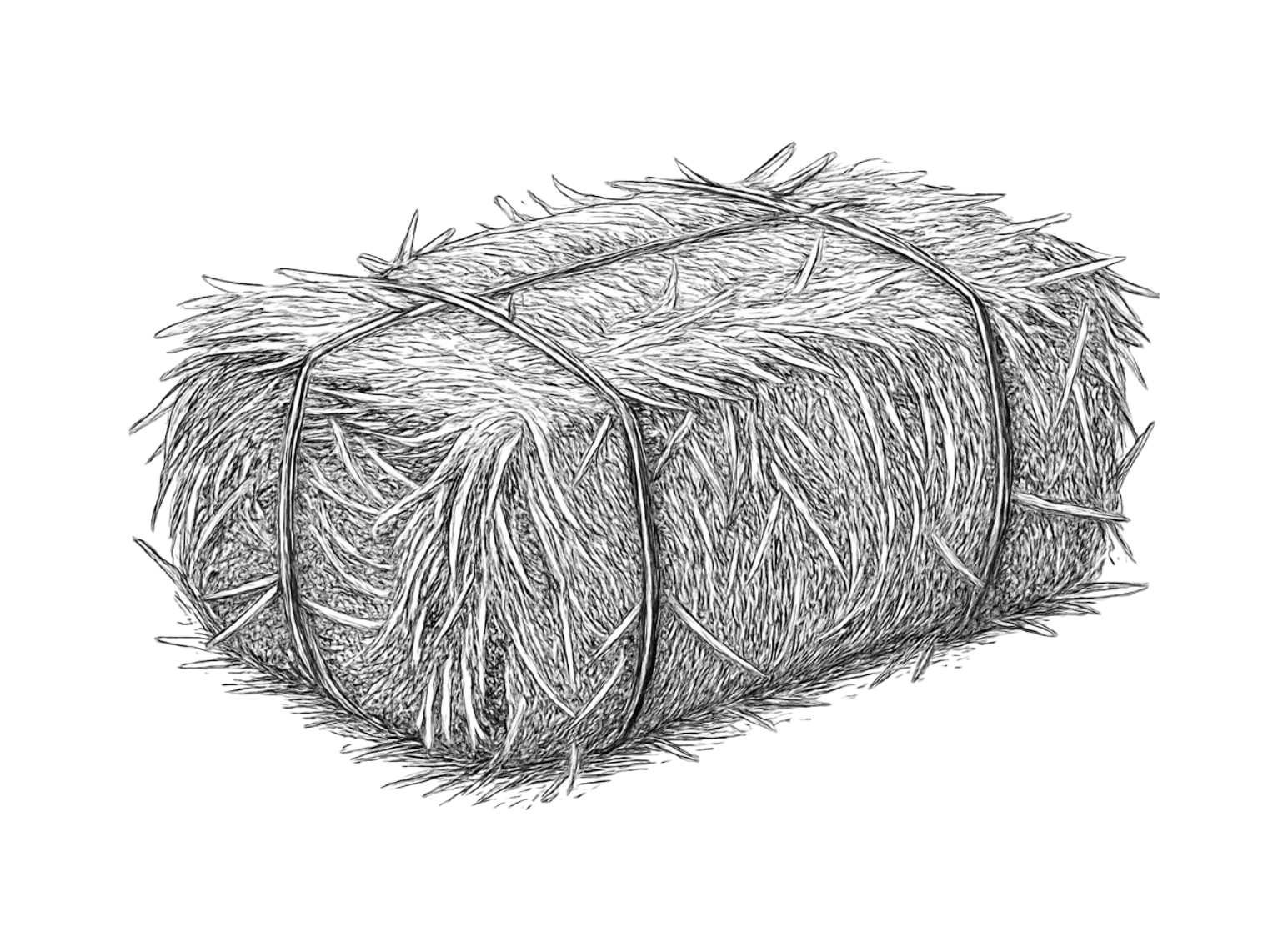 Hay bale illustration representing local farm supplies and agricultural products at Snow’s Farm