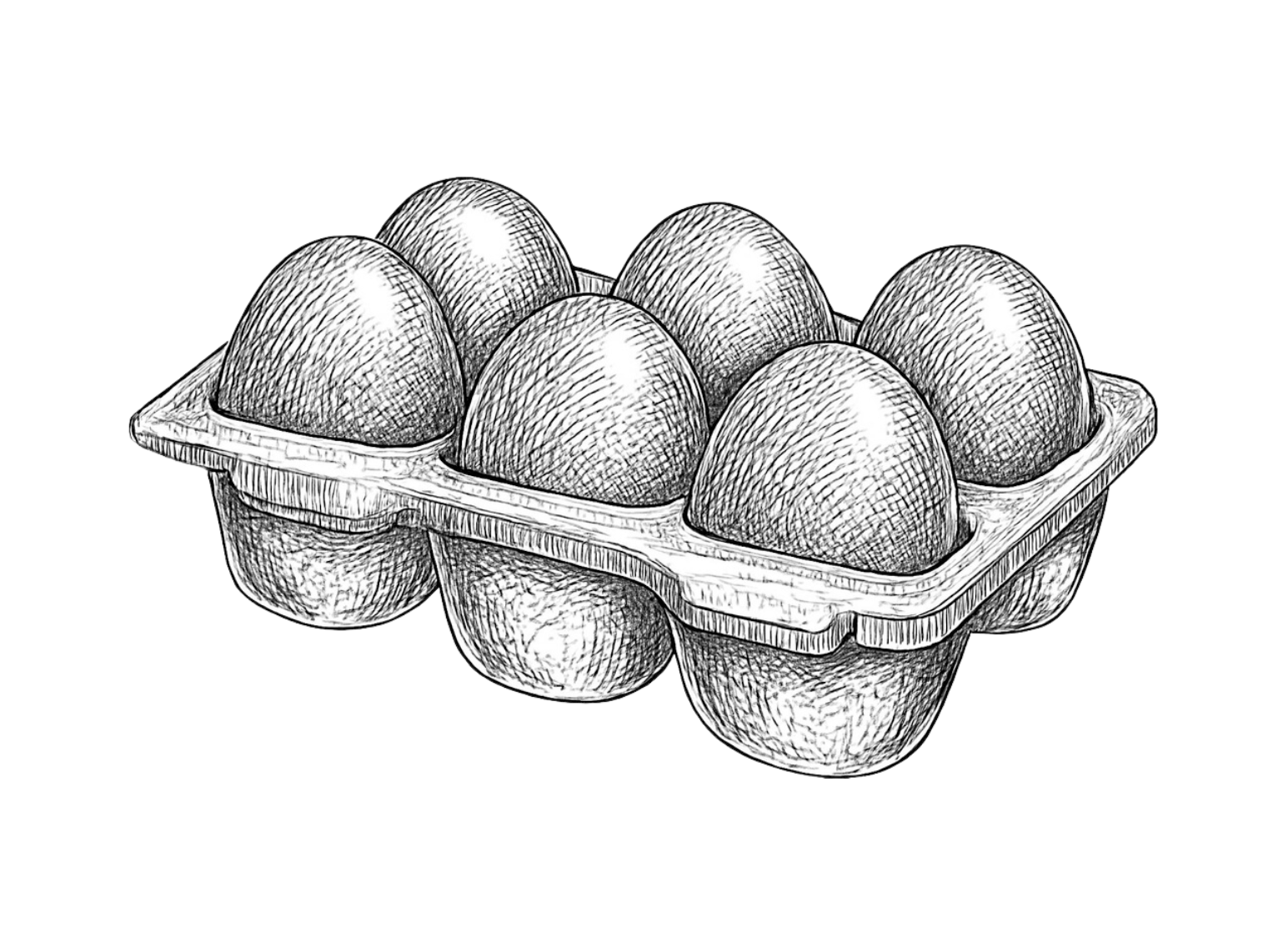 Fresh farm eggs in carton illustration from family-run Connecticut farm
