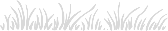 Close-up of grass blades against a black background.