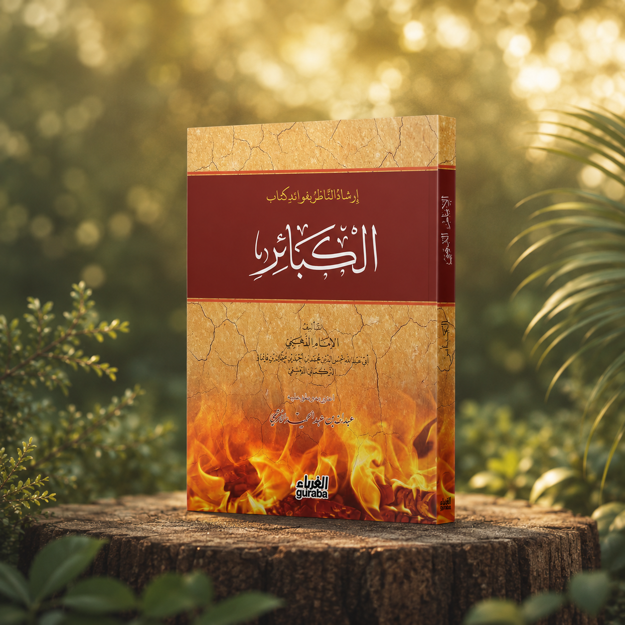 إرشاد الناظر بفوائد كتاب الكبائر