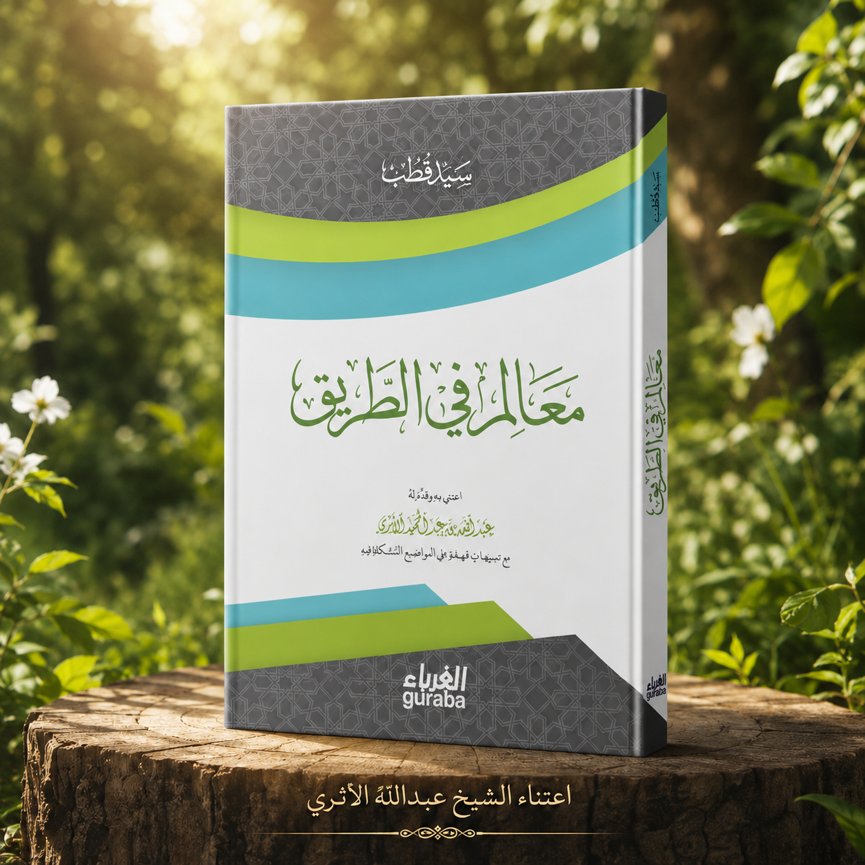 معالم في الطريق