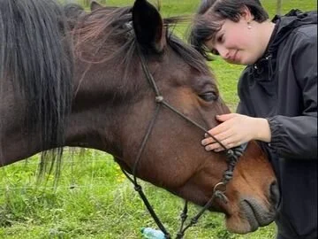 Healing with Horses Workshop