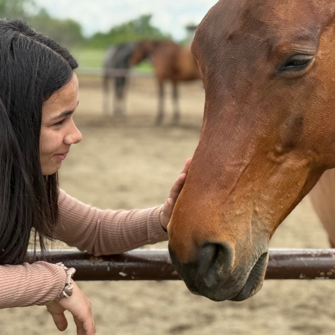Horse trauma healing during one of our Developmental Camps.