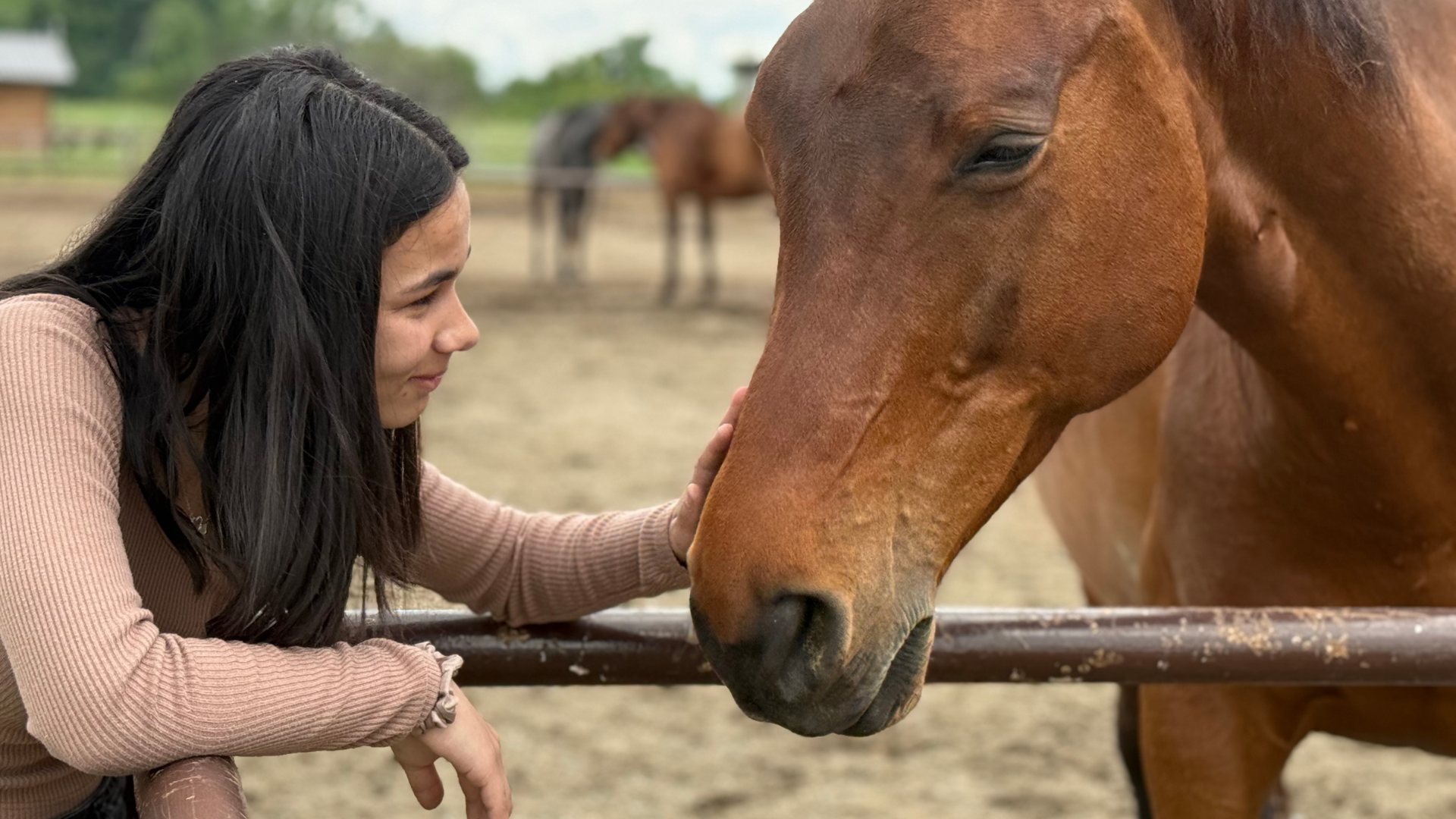 Healing with Horses activity