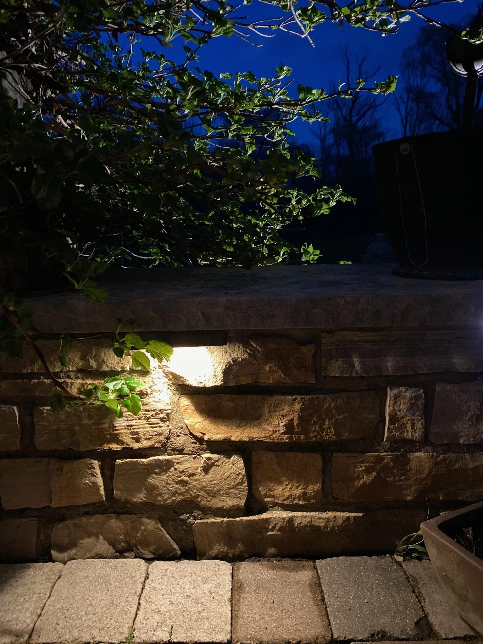 Nighttime outdoor scene with a stone brick wall, a wooden ledge, green leafy plants, a stone pathway, and warm lighting illuminating the wall.