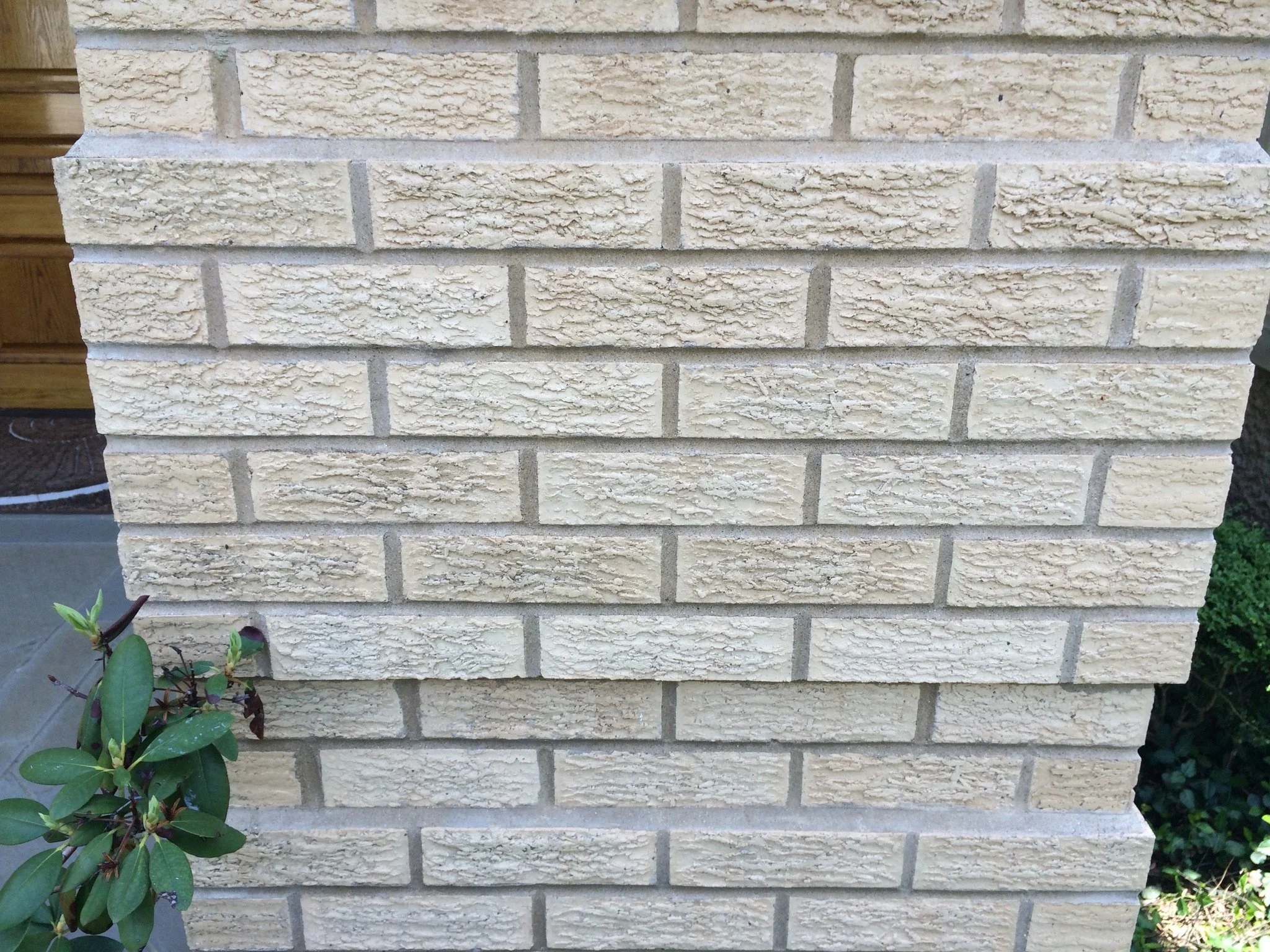 Close-up of a beige brick wall with decorative texture, partially surrounded by green plants.