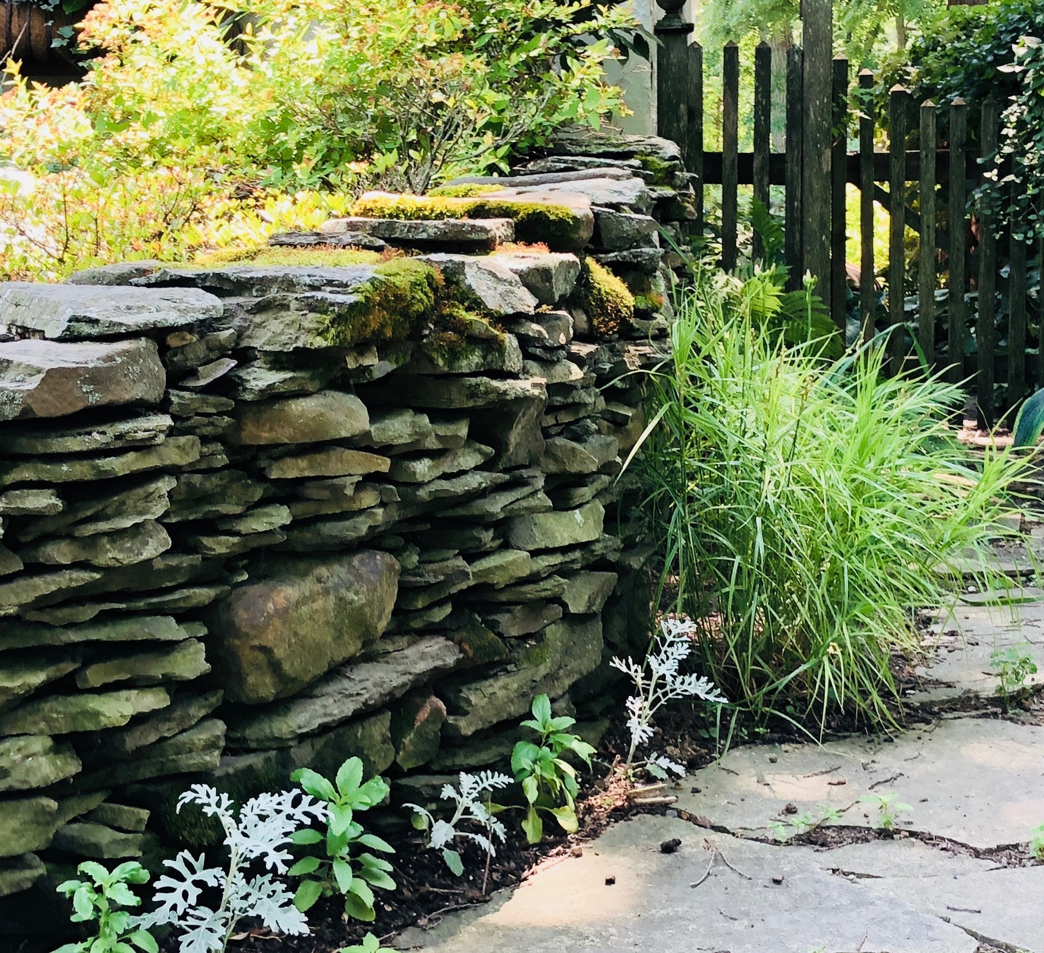 A stone wall with moss and greenery, next to a pathway with plants and a wooden fence in the background.