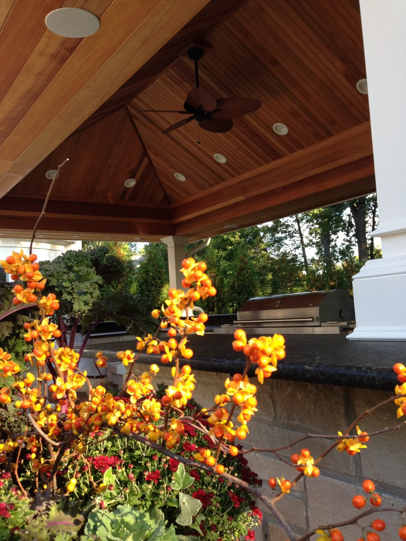 Yellow-orange flowers with small round buds in foreground, potted plants with red flowers and green foliage below, lattice sky with a wooden ceiling, ceiling fan, and recessed lighting overhead, outdoor setting with trees in background.