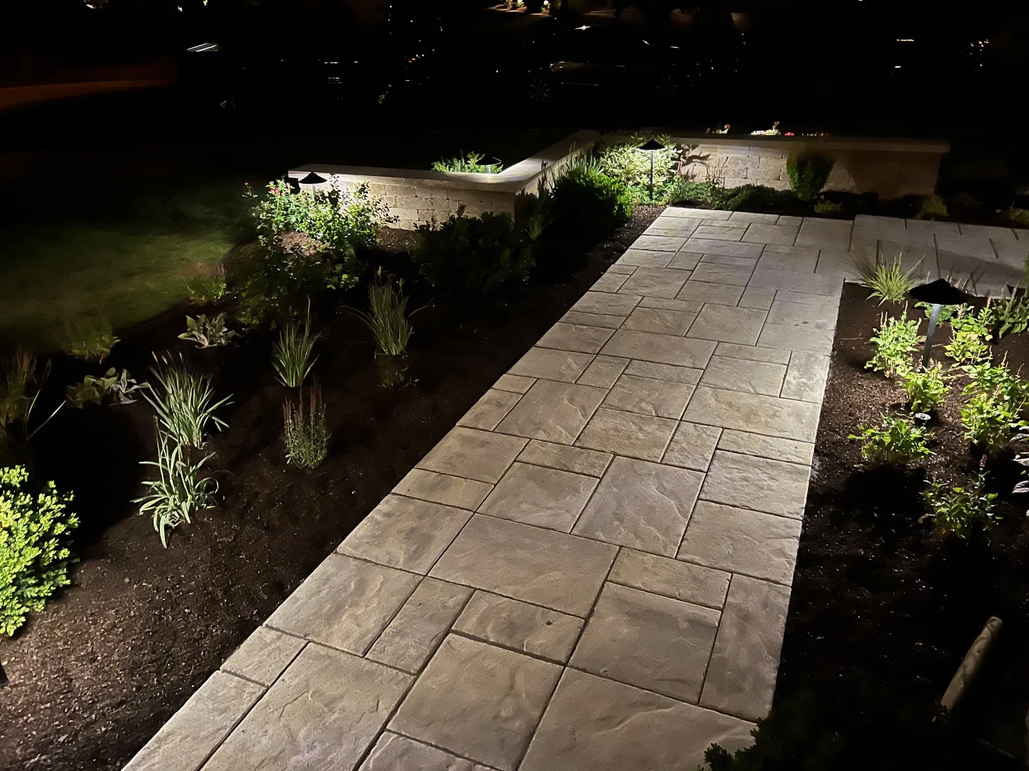 Nighttime view of a garden with a paved walkway, illuminated by landscape lighting, surrounded by various plants and flowers, with parked cars visible in the background.