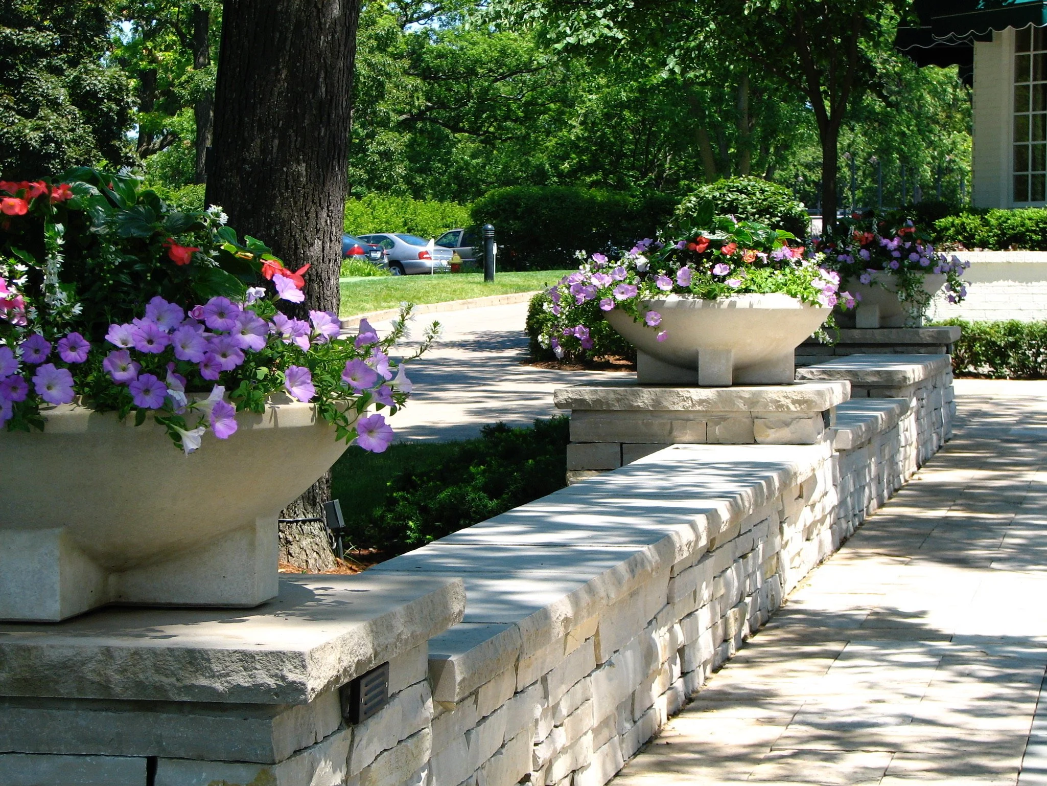 A sidewalk with large flower pots filled with colorful flowers, surrounded by green trees and shrubs, and a parking lot with cars in the background.