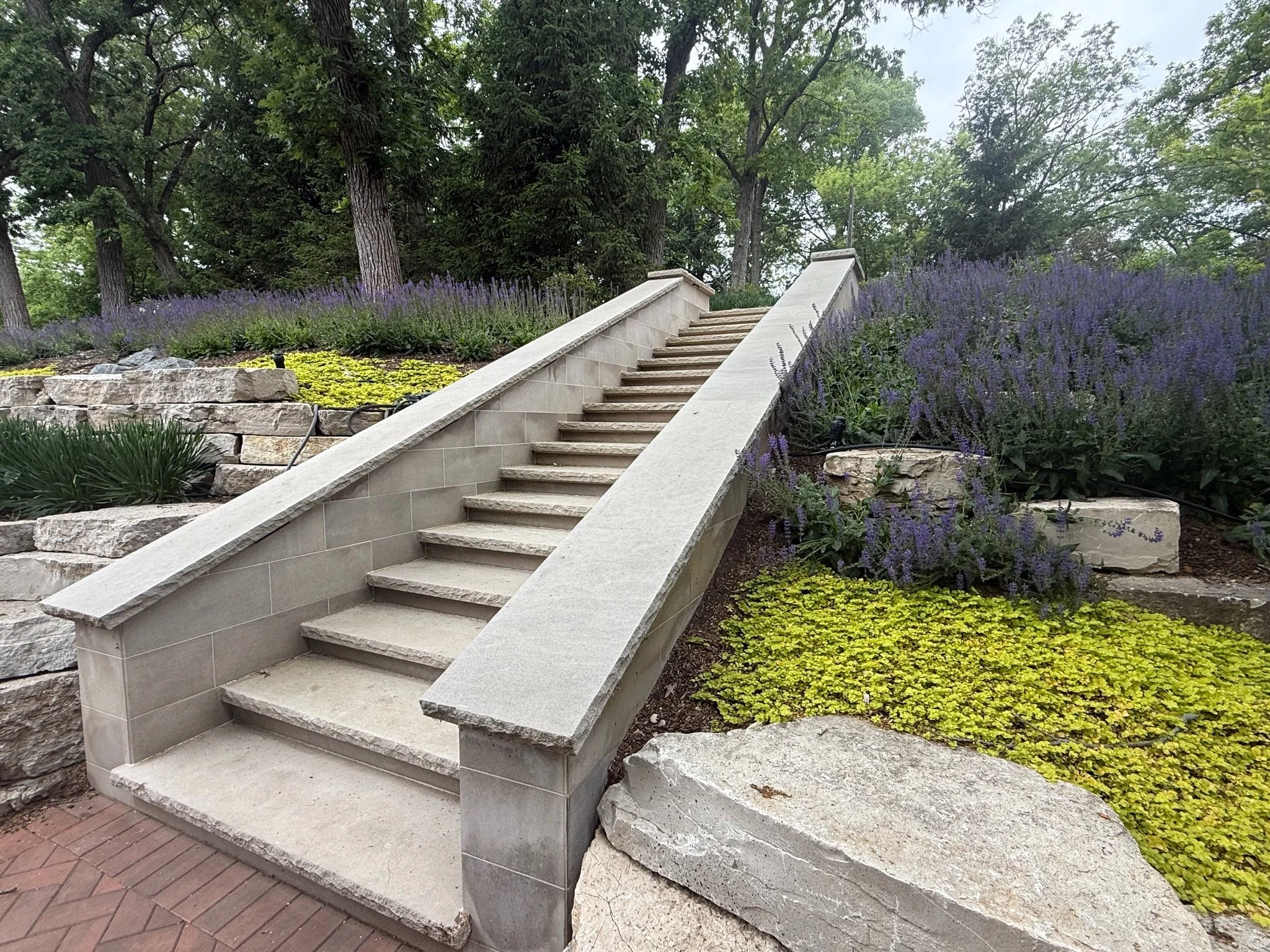 Concrete stairs leading up through a landscaped garden with purple flowers, green foliage, and tall trees in the background.