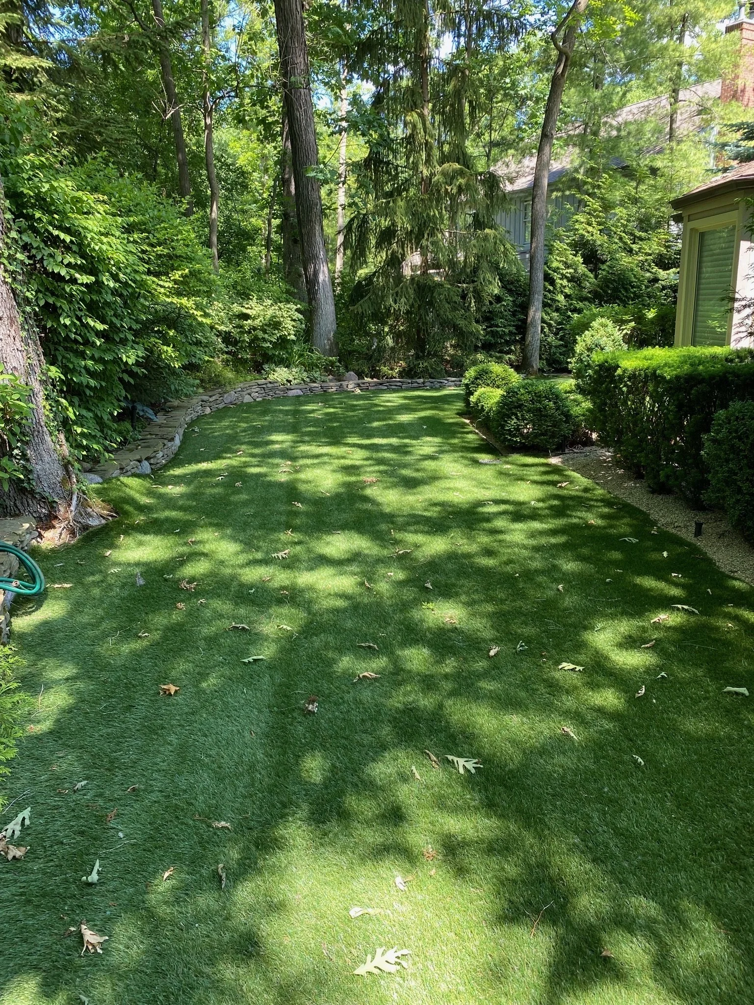 A well-maintained backyard with a lush green lawn, surrounded by trees, bushes, and shrubs, with shadows cast on the ground from the trees.