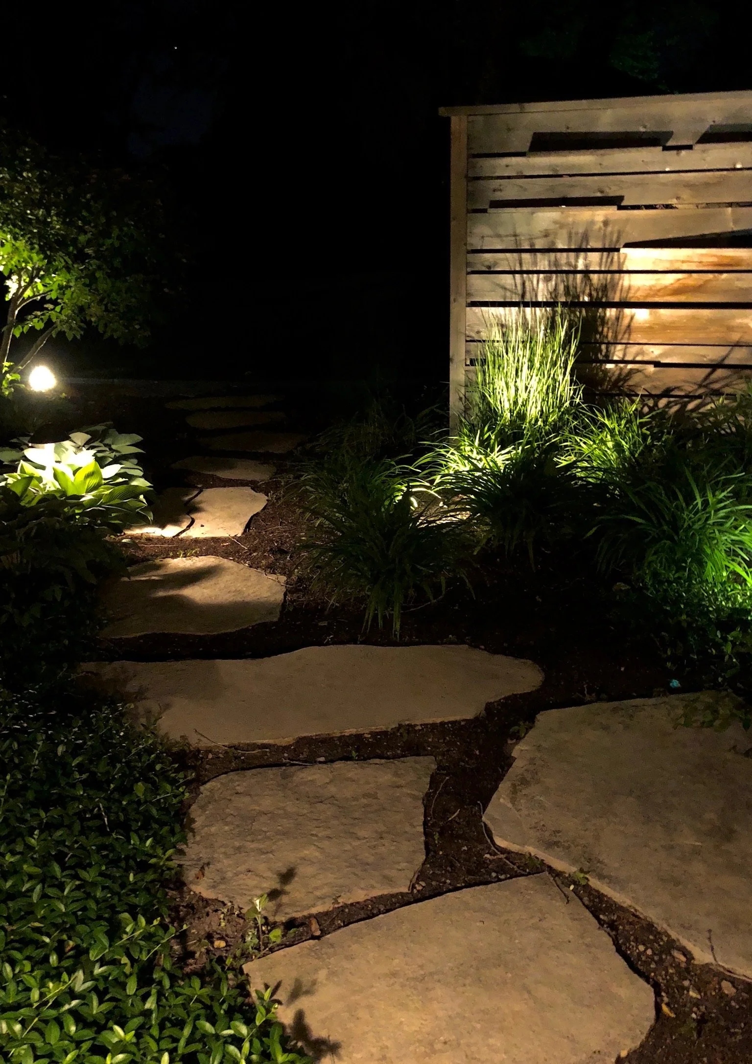 Nighttime garden path with stone slabs, illuminated plants, and wooden fence.