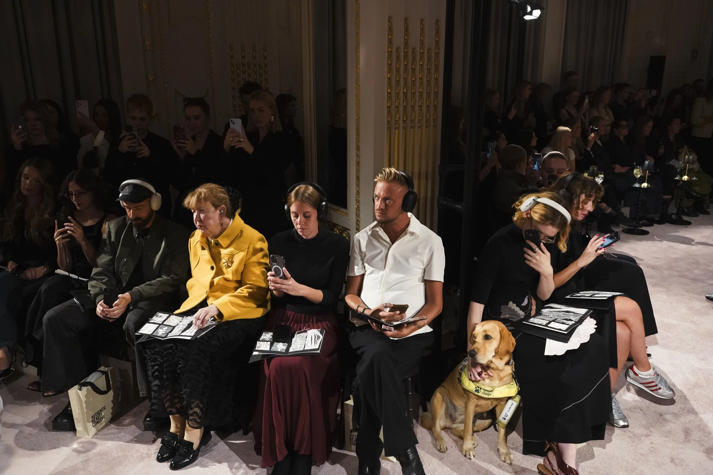 Front-row guests, some wearing headphones and holding tactile booklets, sit alongside a guide dog at the show.