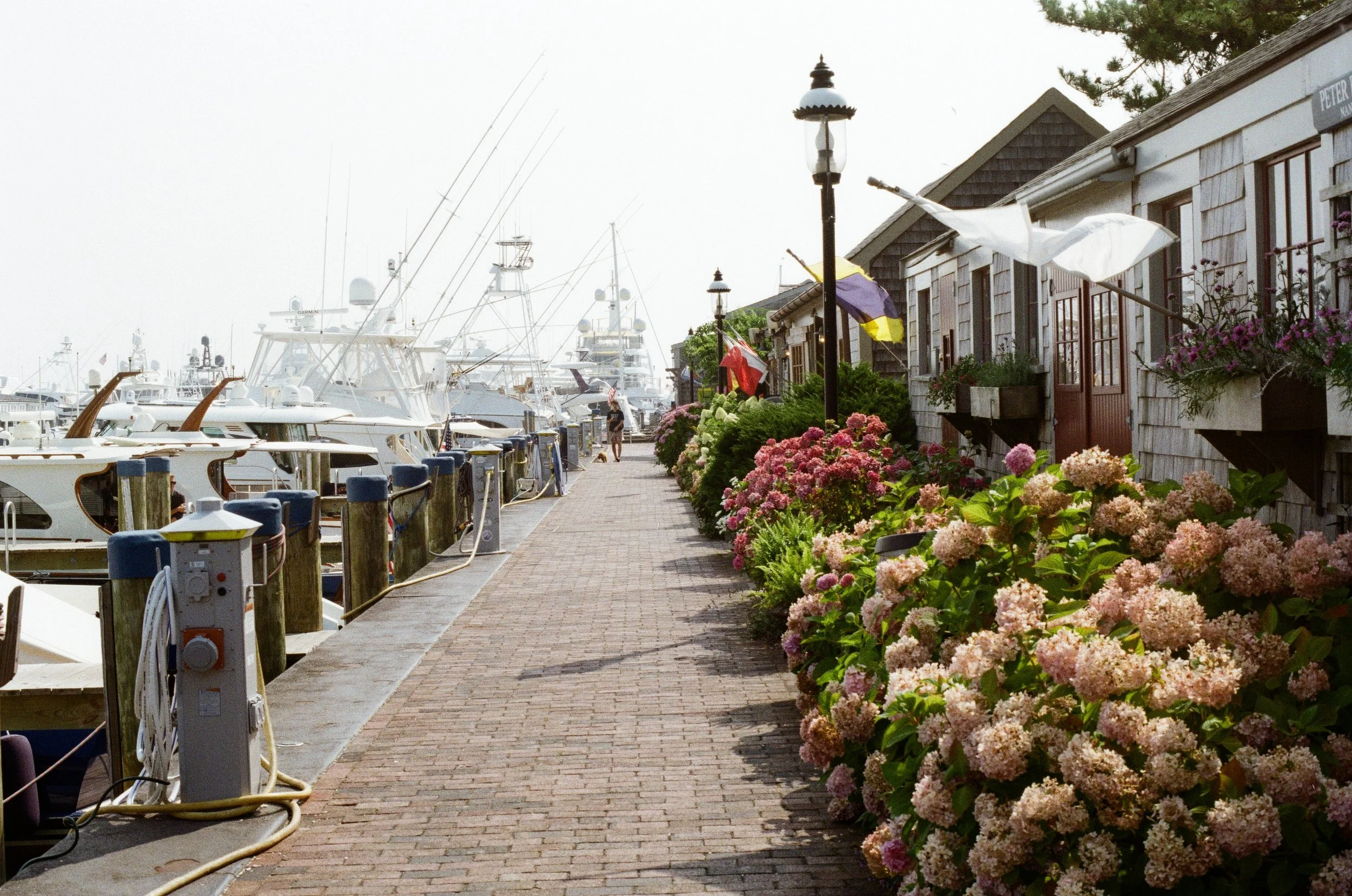 A marina walkway lined with flowering bushes, with boats docked on the left and small buildings on the right, and a person walking in the distance.