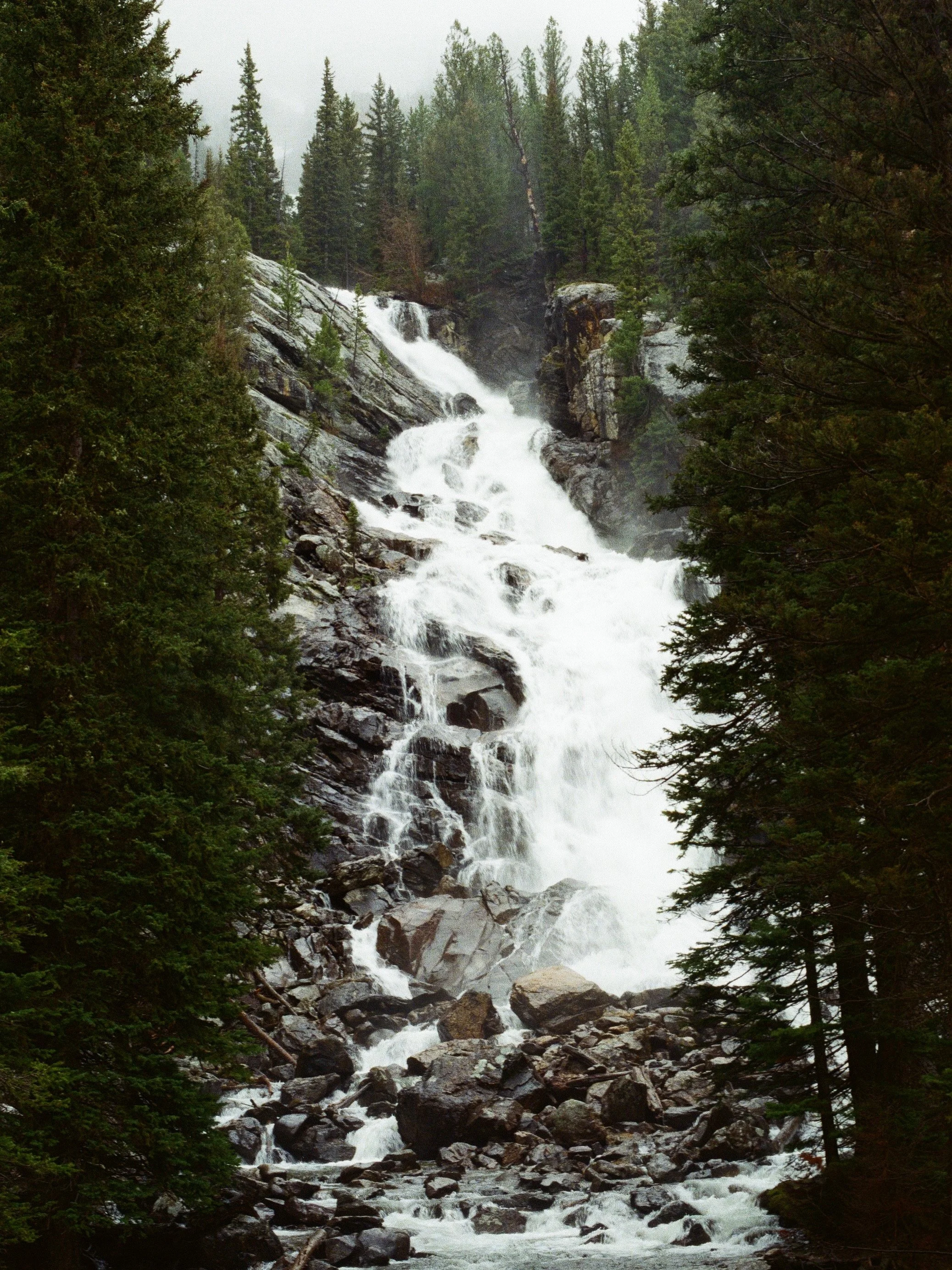 42EA9411-A73E-4E04-85D0-15ACBDA15810_Original.jpg