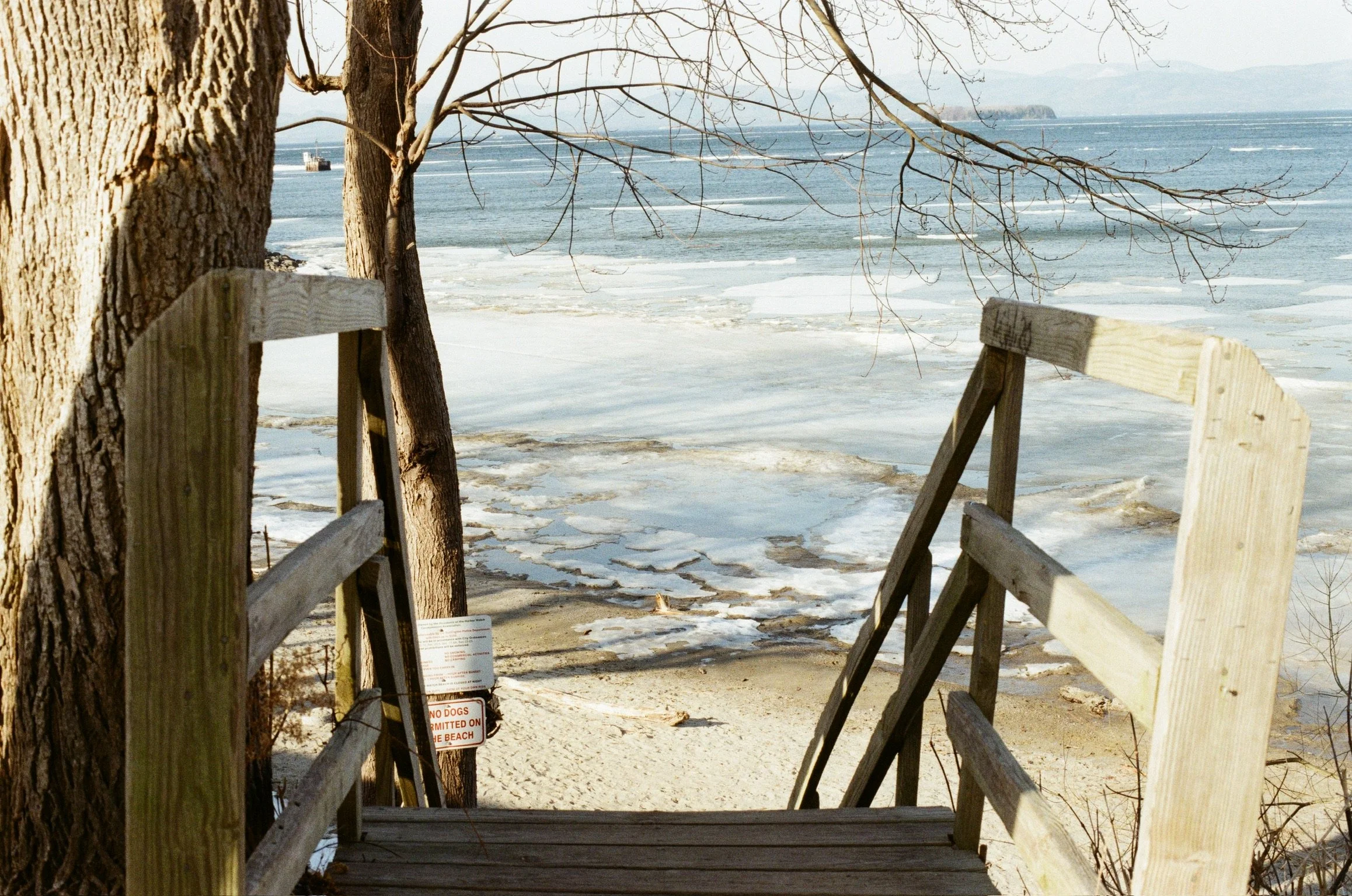 Wooden stairs leading down to a beach with snowy ice on the shore, two leafless trees beside the stairs, and a distant boat on the water, with mountains in the background.