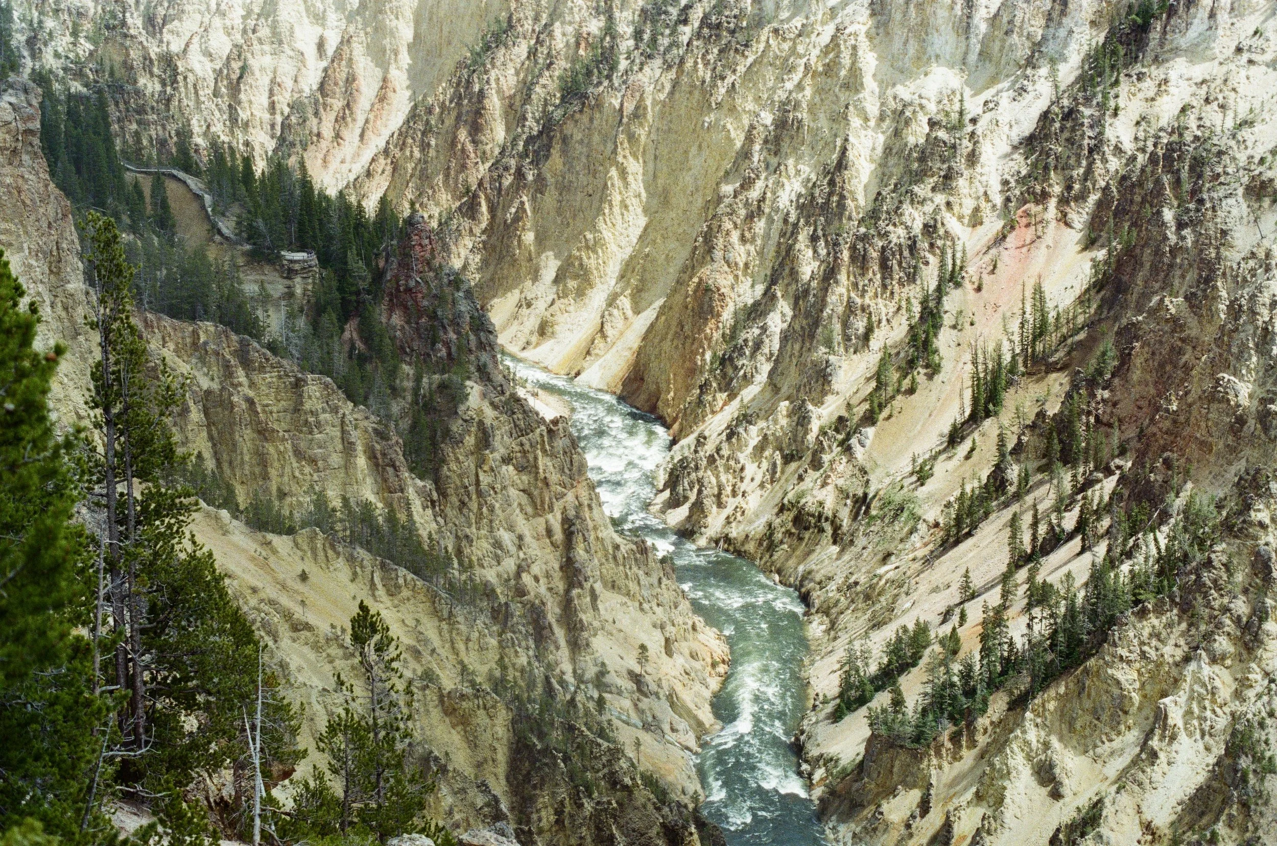 IMG_2439_Original.jpg