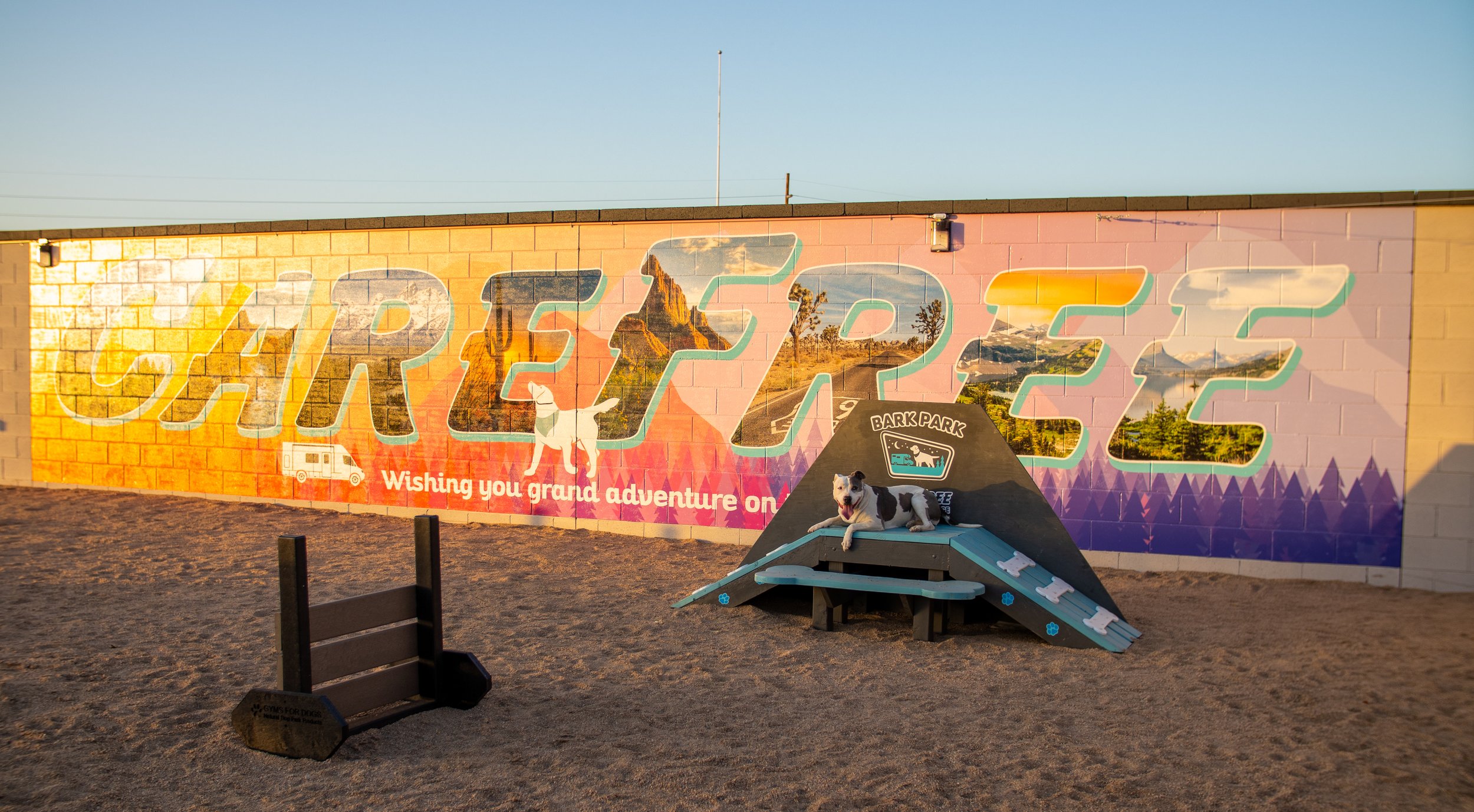 Gated dog park with a mural wall and agility ramp at Carefree Covered RV Storage in Chandler, AZ