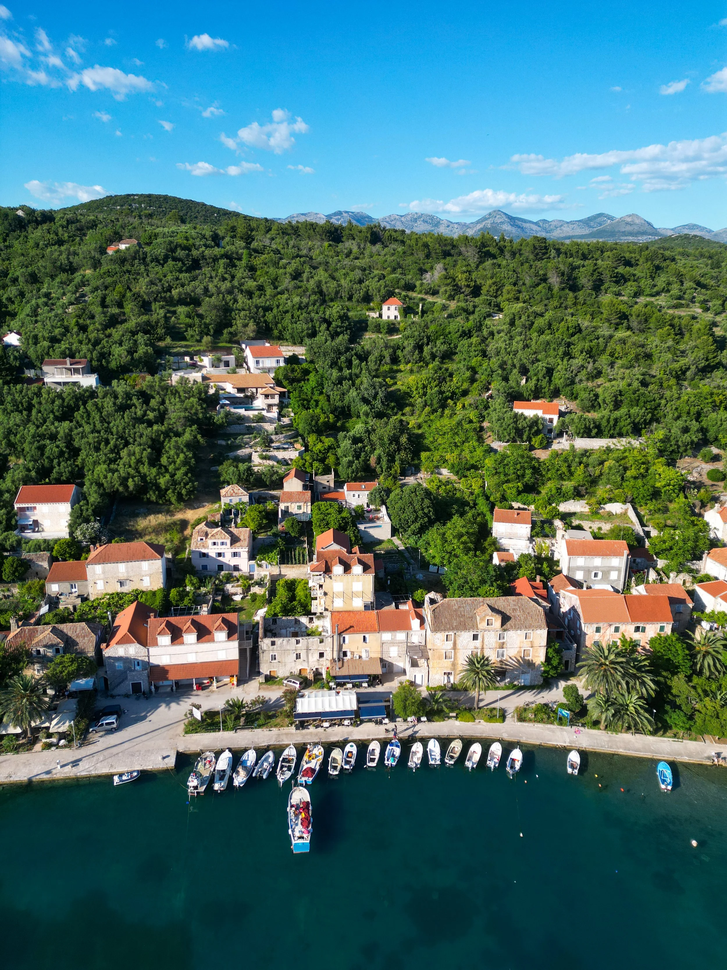 DJI_0216.jpg