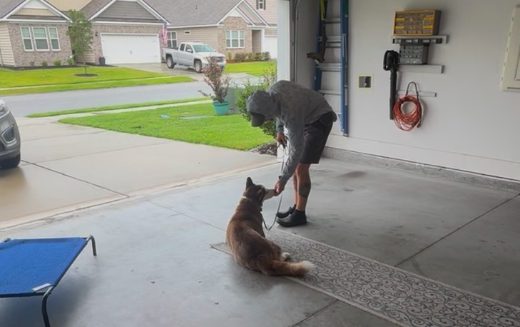 A person with a hoodie and shorts interacts with a dog in a garage. The dog is sitting on the concrete floor on a rug, looking at the person who is bending down and holding the dog's leash. The garage door is open, revealing a residential neighborhood outside with houses and a lawn.