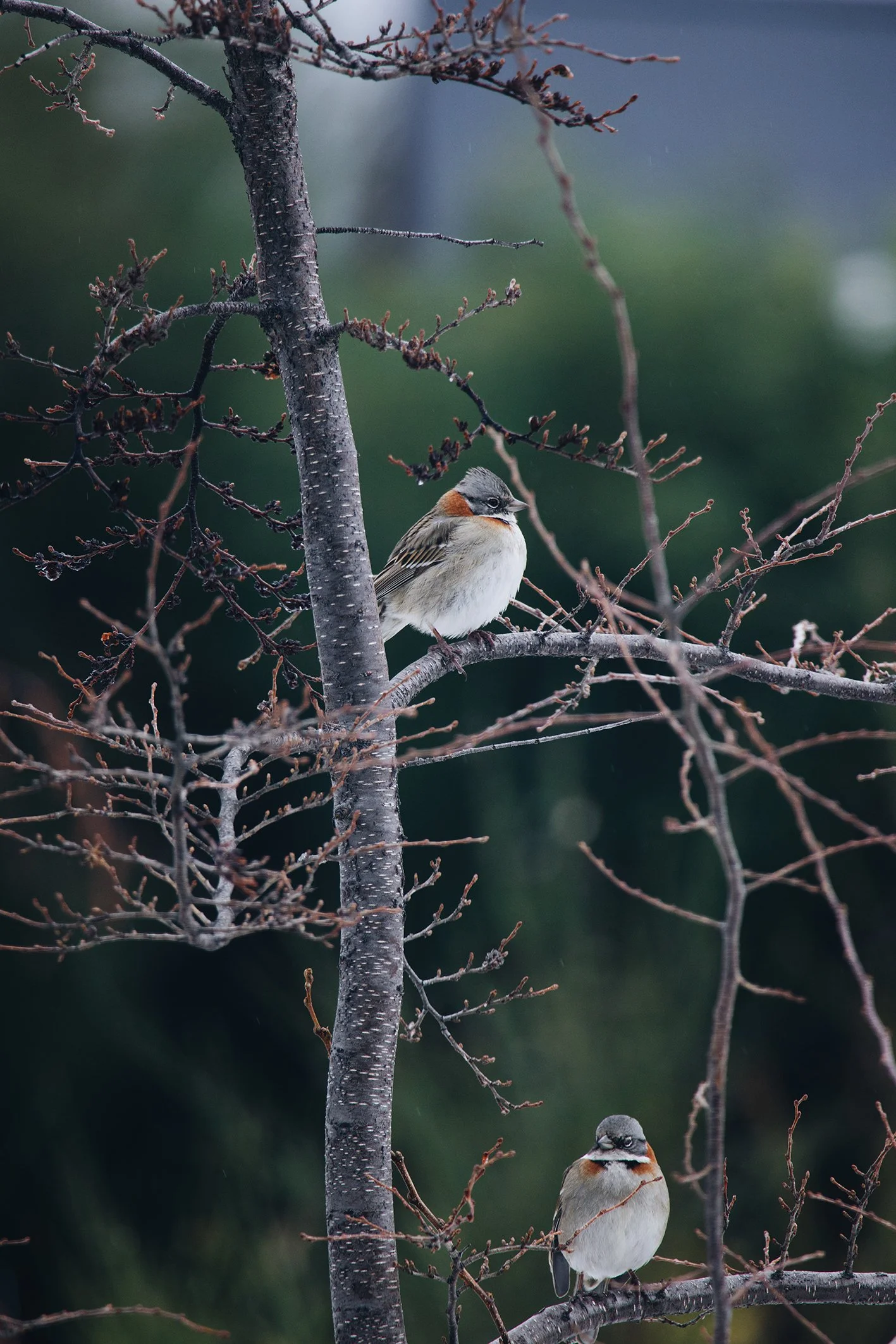 083A7904_VSCO.jpg