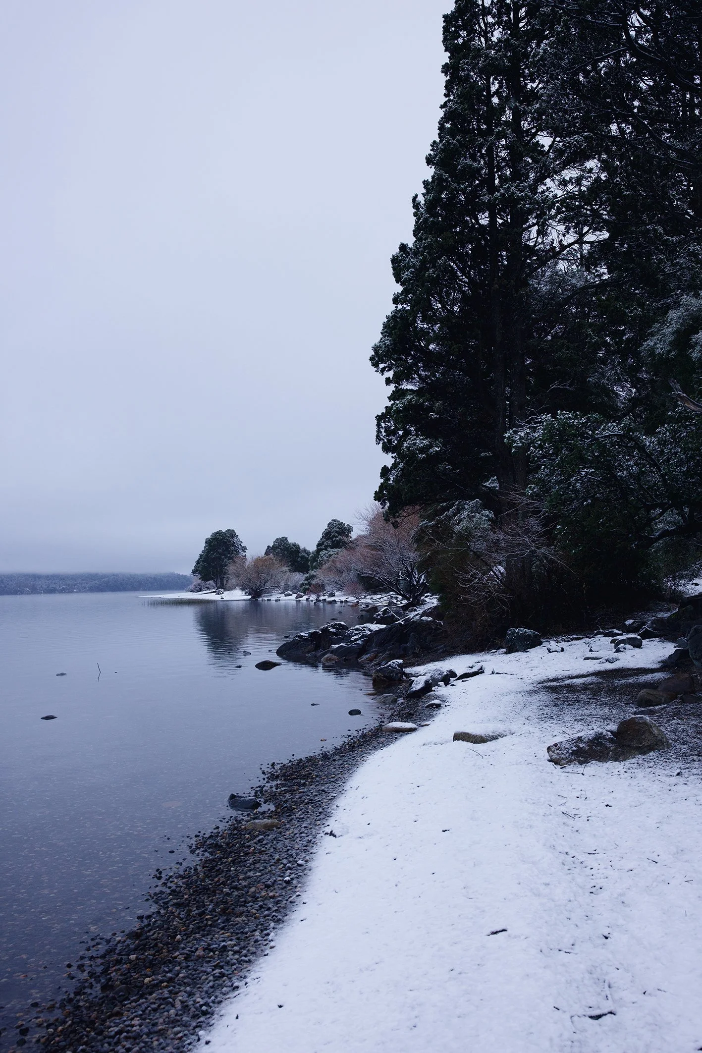 083A7346_VSCO.jpg