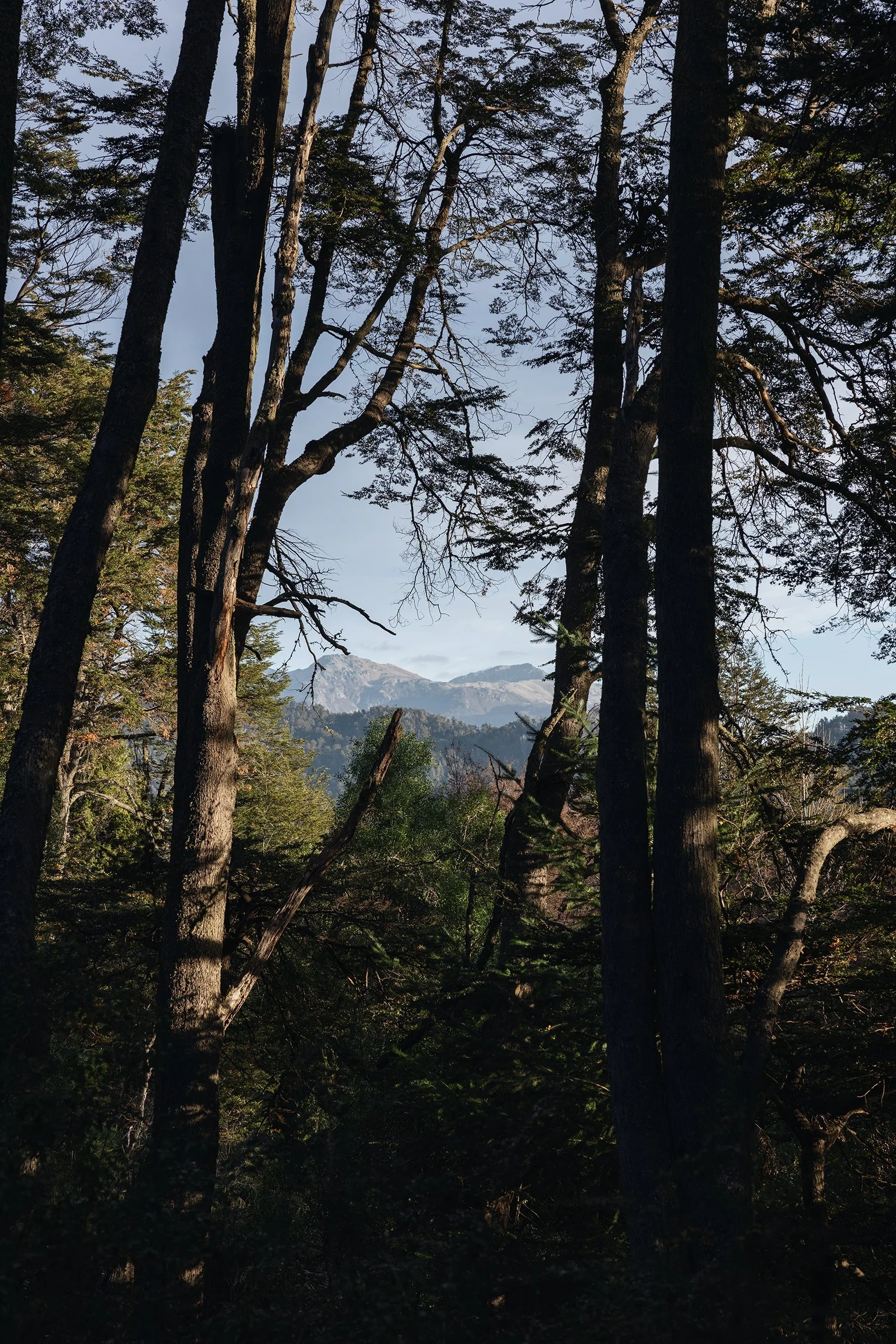 083A0755_VSCO.jpg