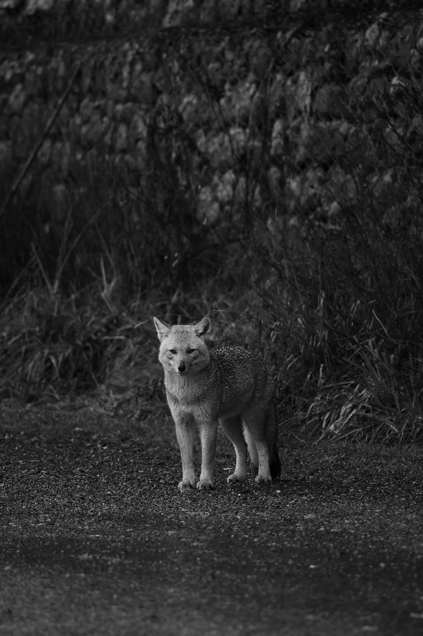 083A8147_VSCO.jpg