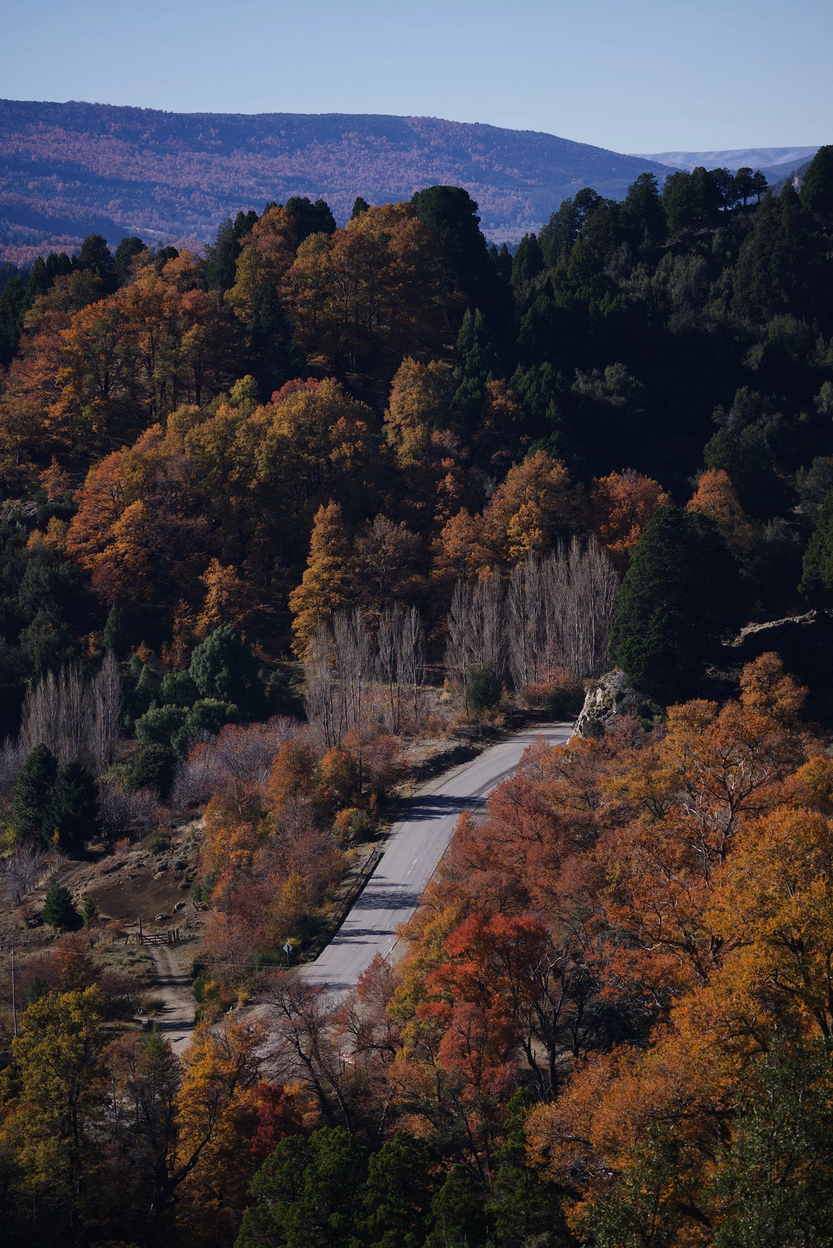 083A0555_VSCO.jpg
