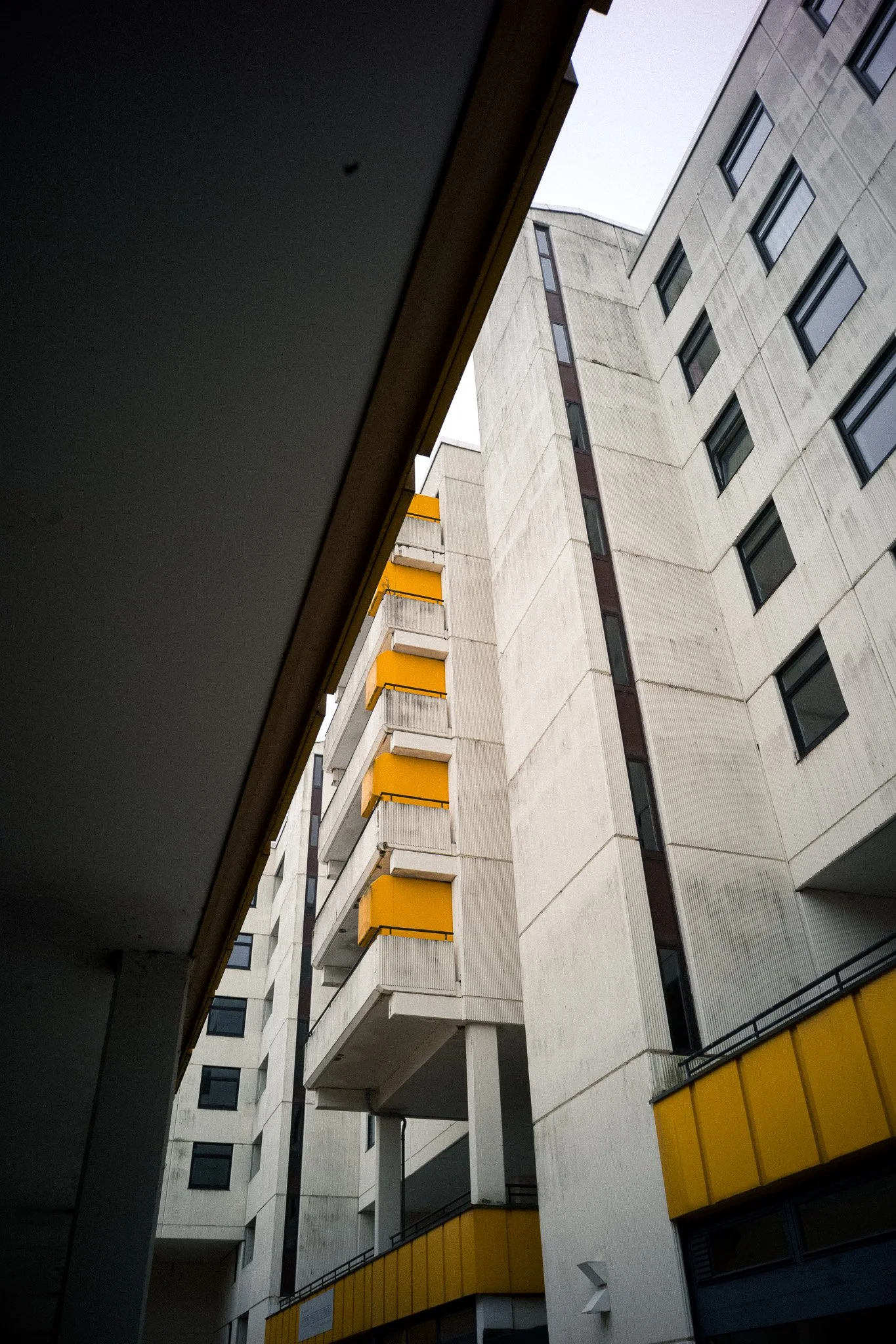 L1009606.jpg