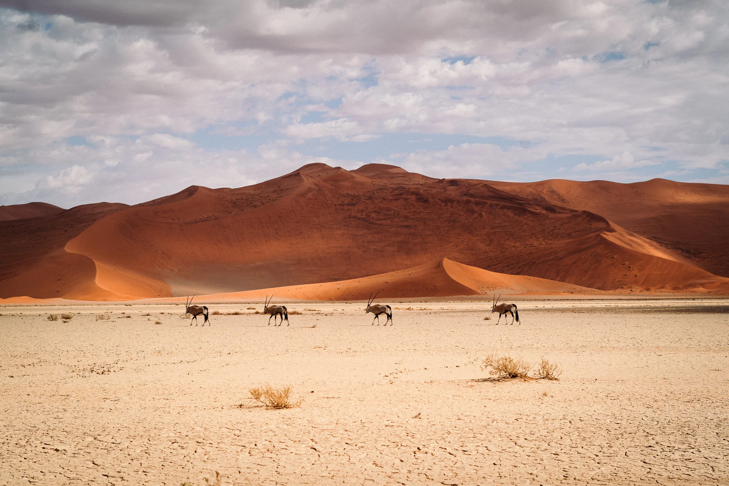 Namib Wilderness