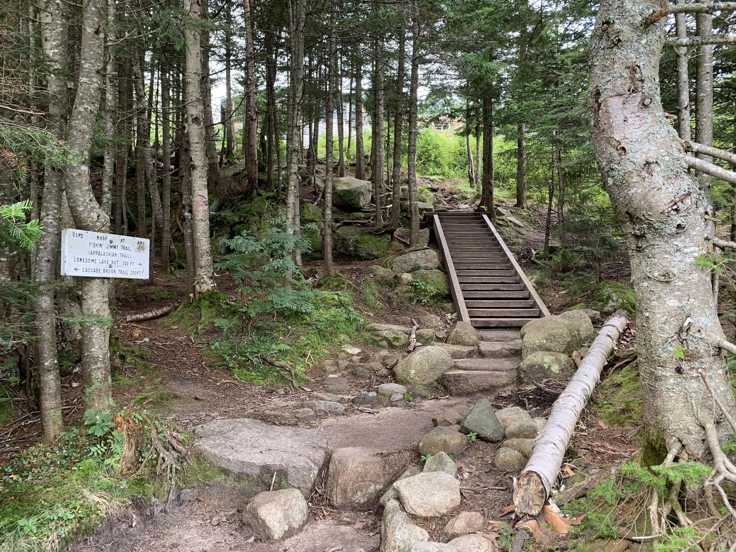 Wooden stairs leading up a trail in a forested area, surrounded by trees, rocks, and a sign.