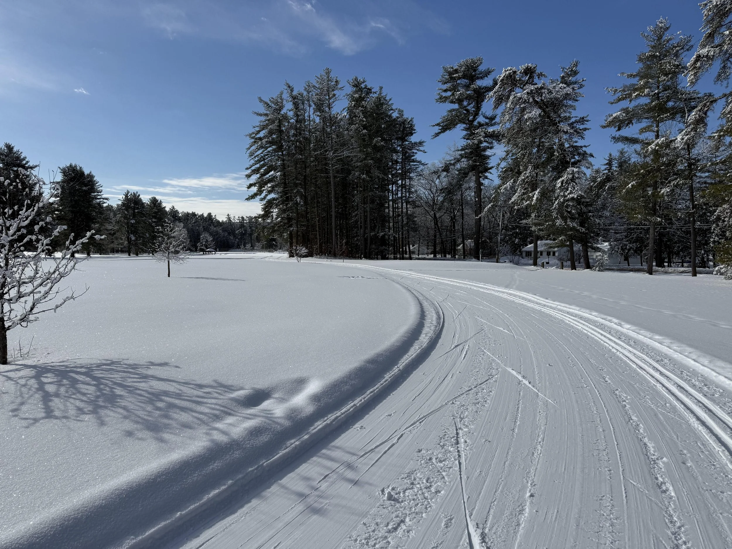 Snow-covered open field with tire tracks, surrounded by tall evergreen trees and a house in the distance under a clear blue sky.