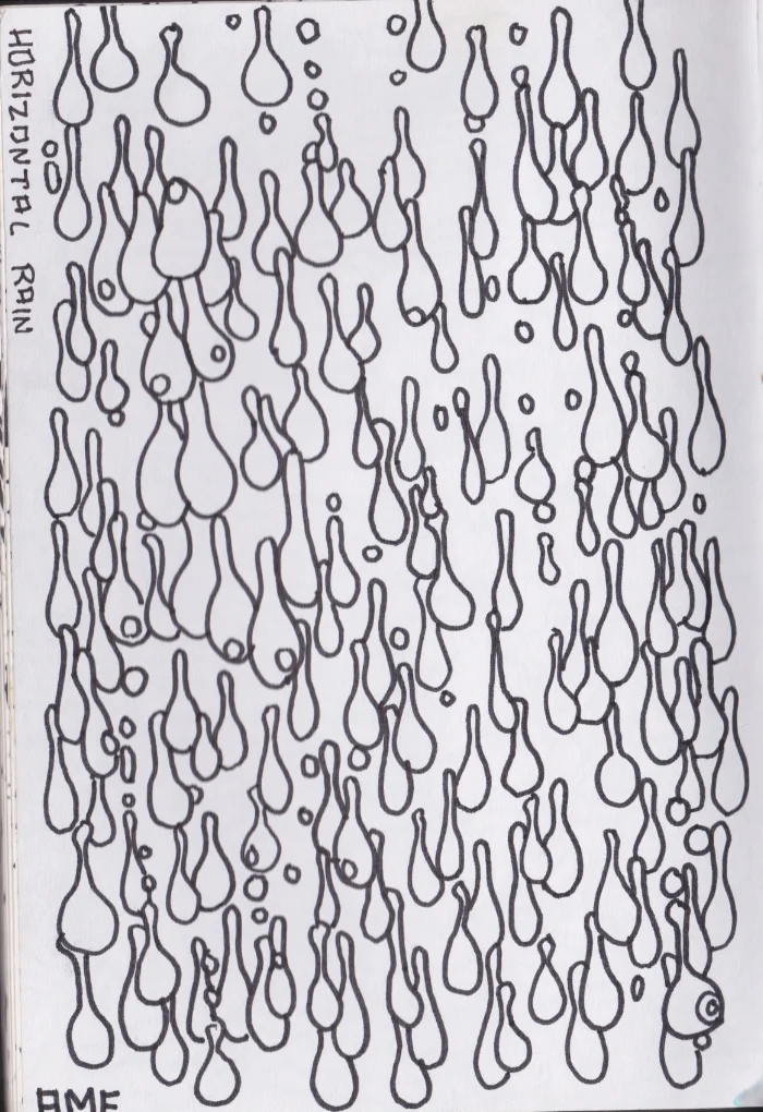 Scan1 19 copy.jpeg