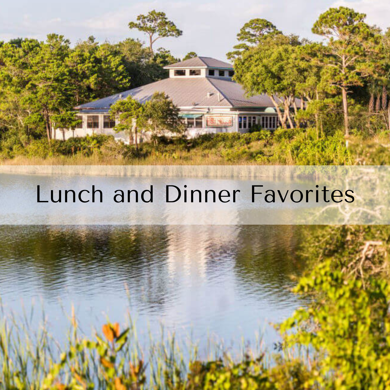 Lunch and Dinner Favorites.png