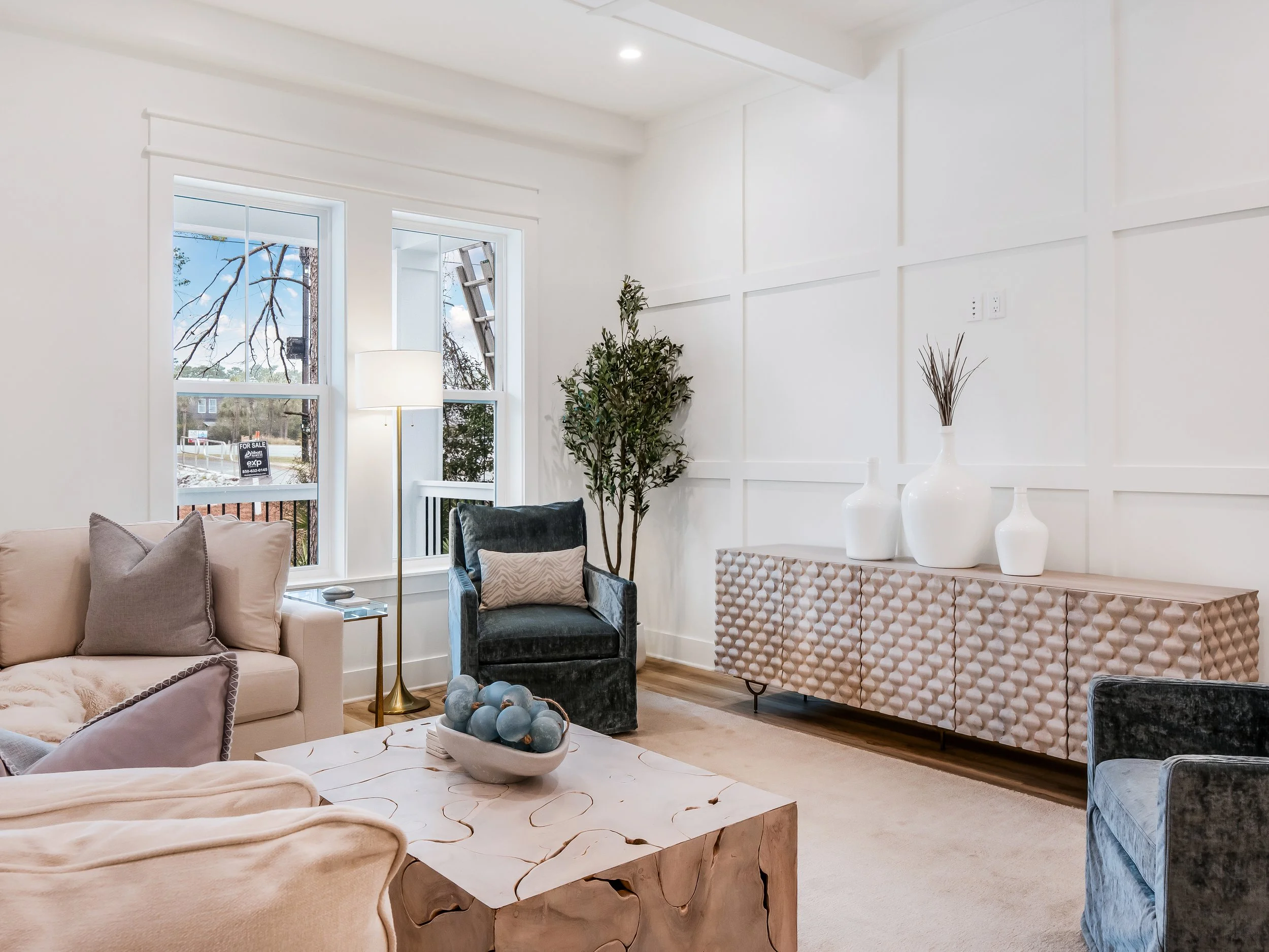 Living Room. Panel Accent WallJPG.jpg