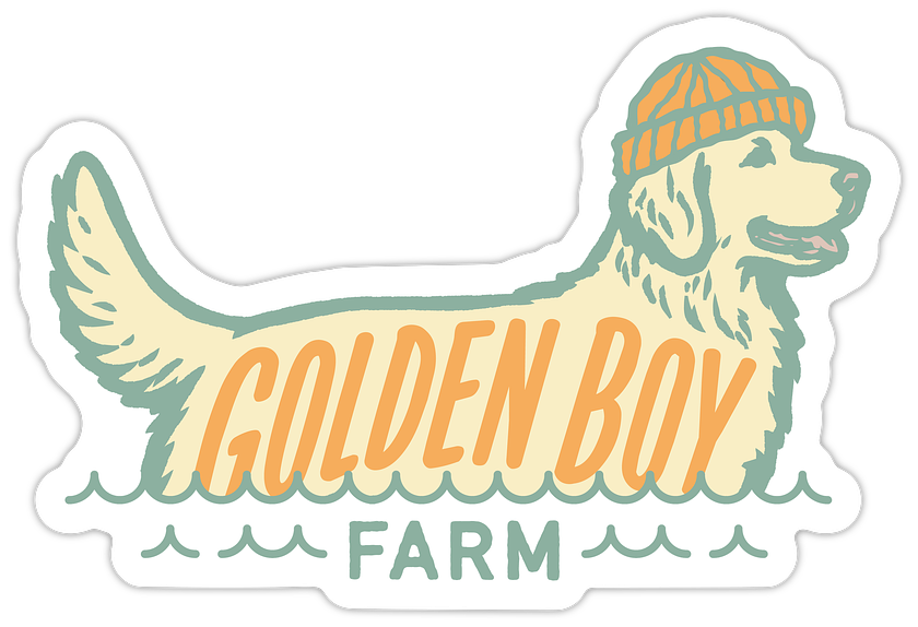 Golden Boy Sticker- Finn Cutout