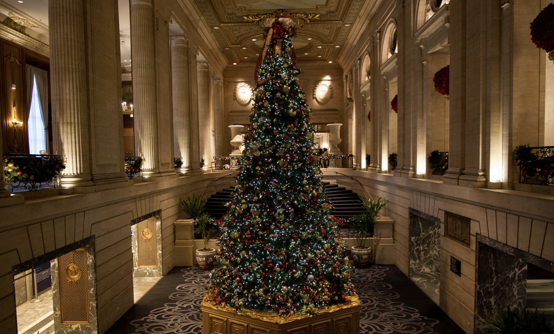 Screen Shot 2026-07-16 at 4.36.57 PM.png