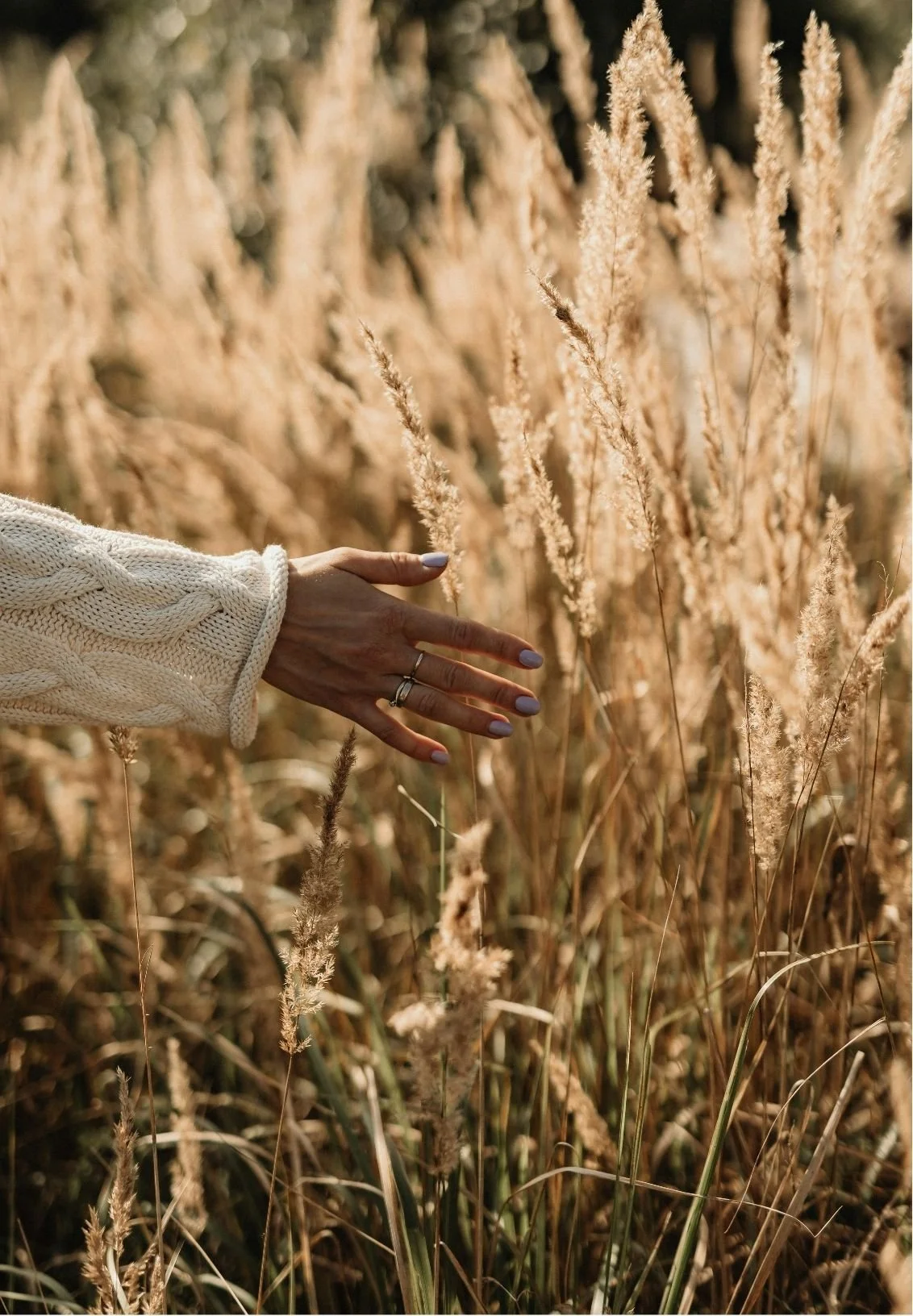 A hand with a ring touches beige tall grass in a field during golden hour, with sunlight illuminating the scene.