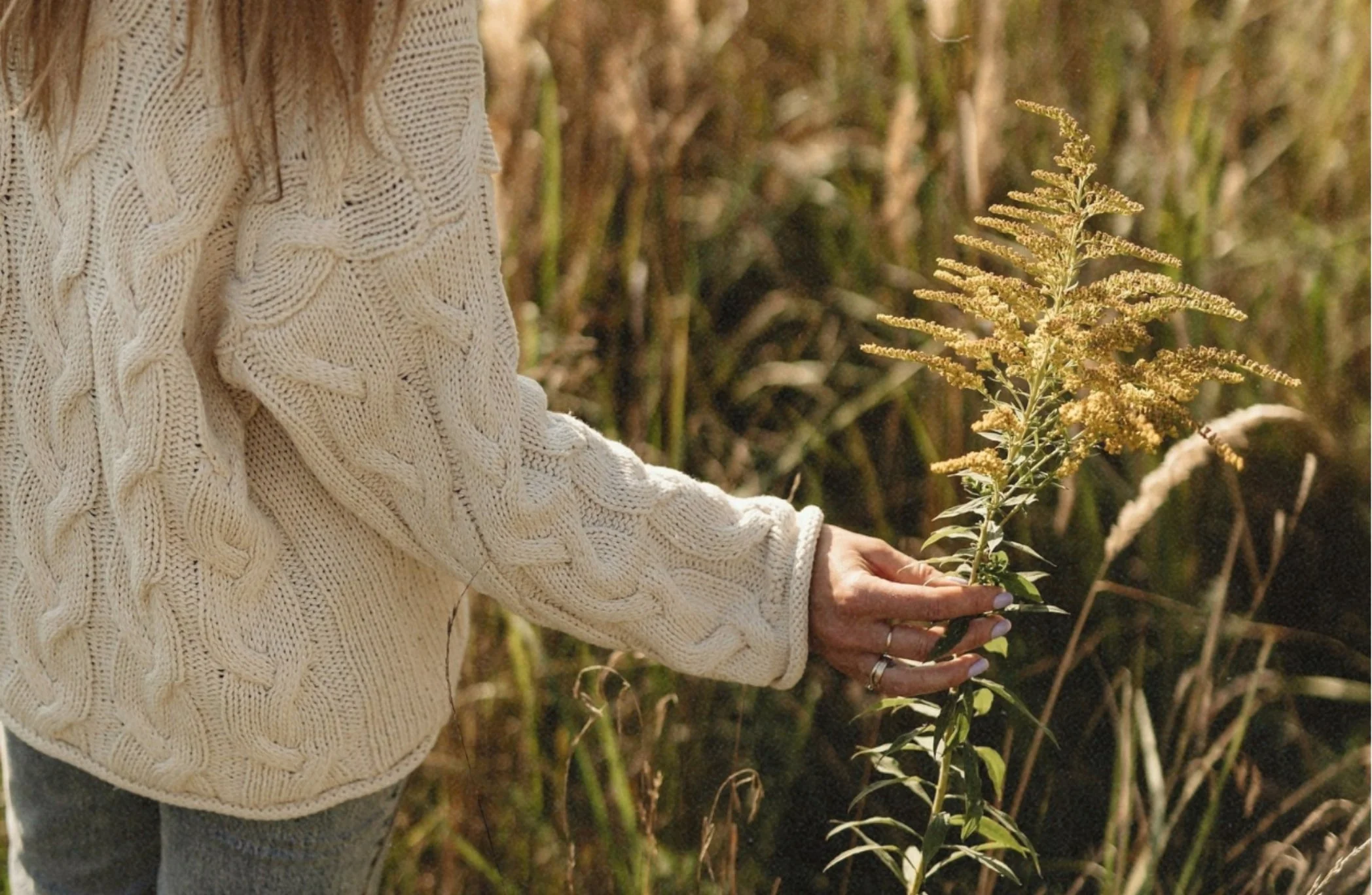 A person wearing a cream-colored cable-knit sweater holding a small plant with yellow flowers in a natural outdoor setting with tall grasses and plants