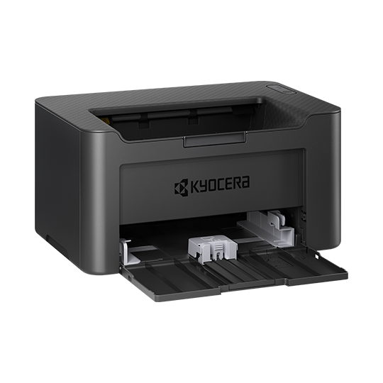 square-540x540-PA2000w.png