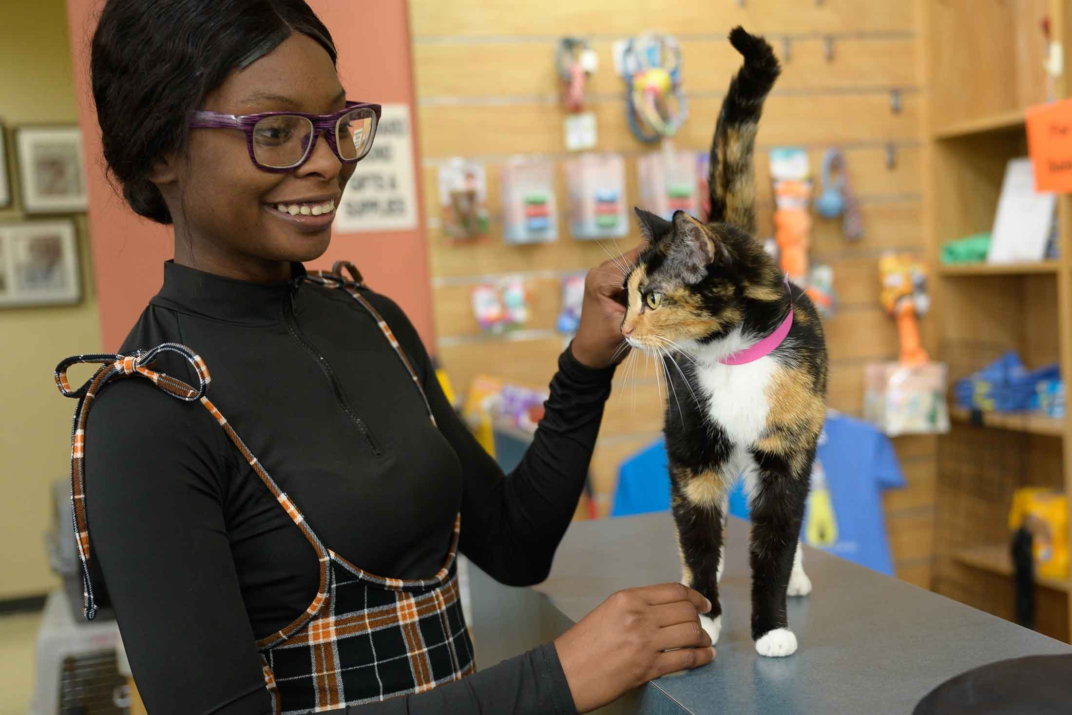 Metro Denver Animal Welfare Alliance partners experience shelter overcrowding